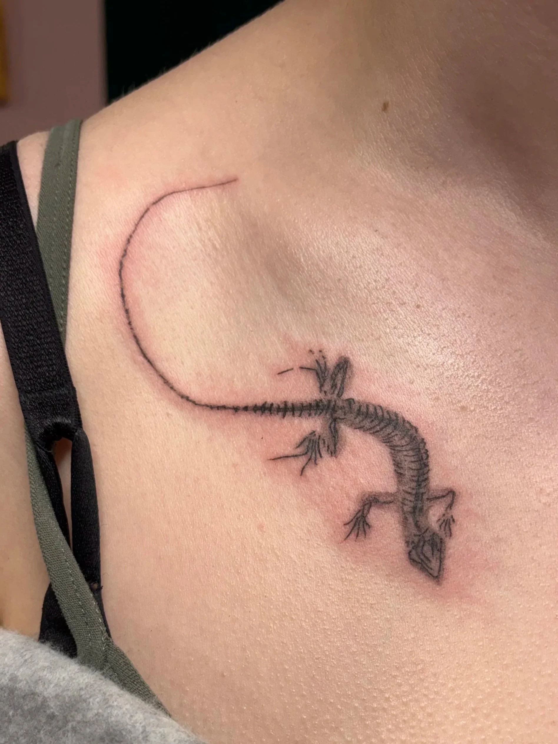 Lizard X-Ray