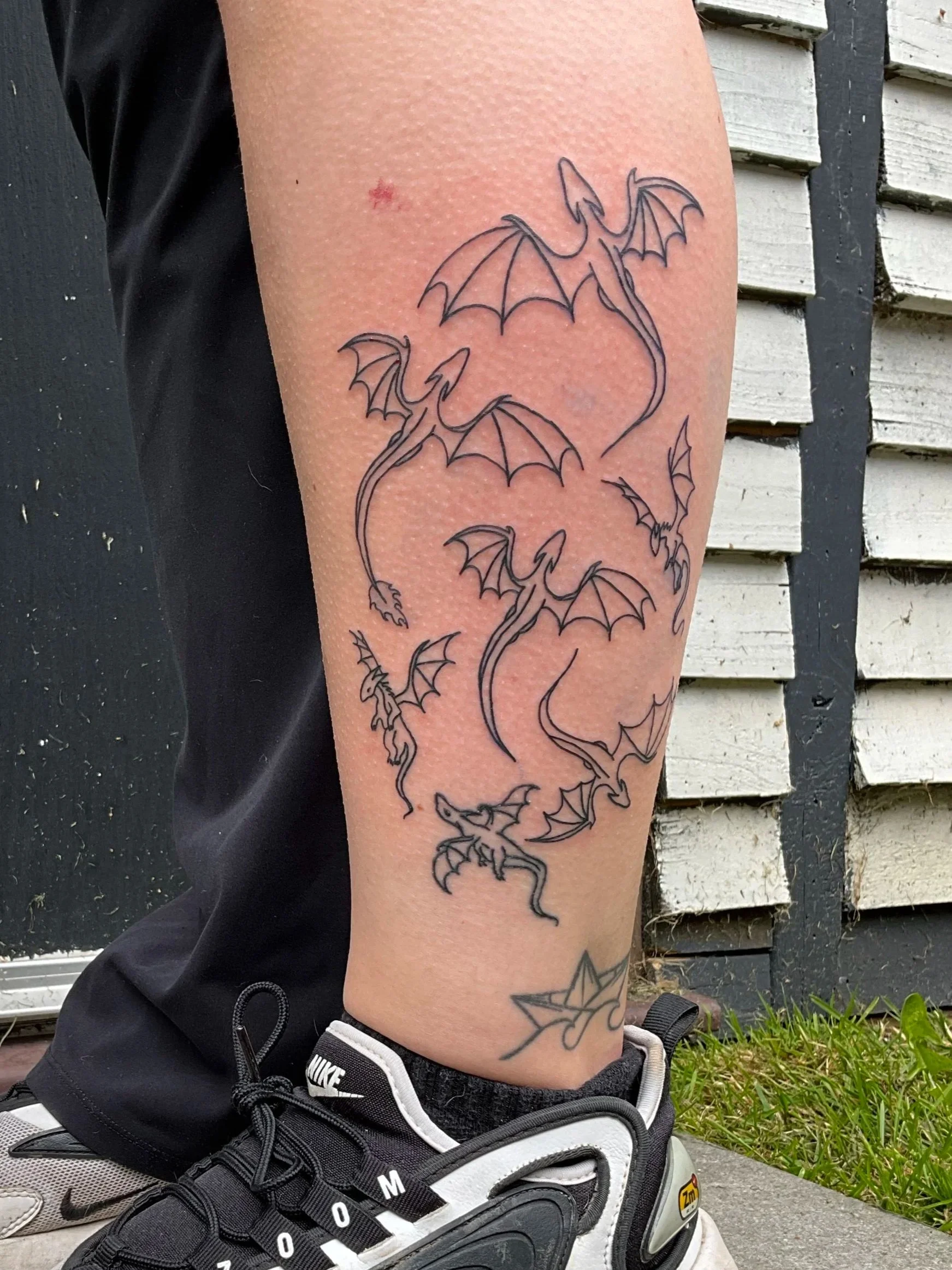 Dragons