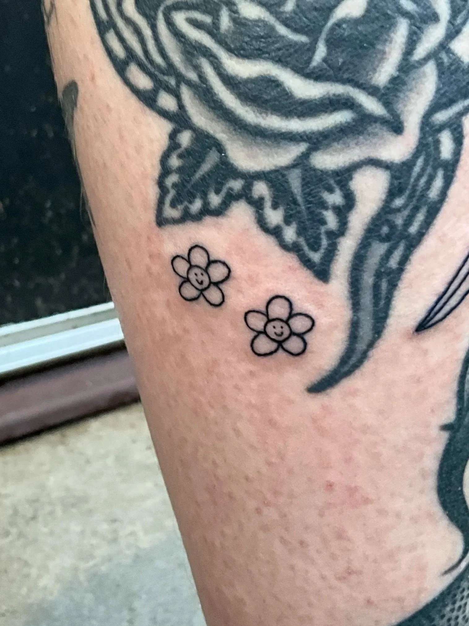 Daisies