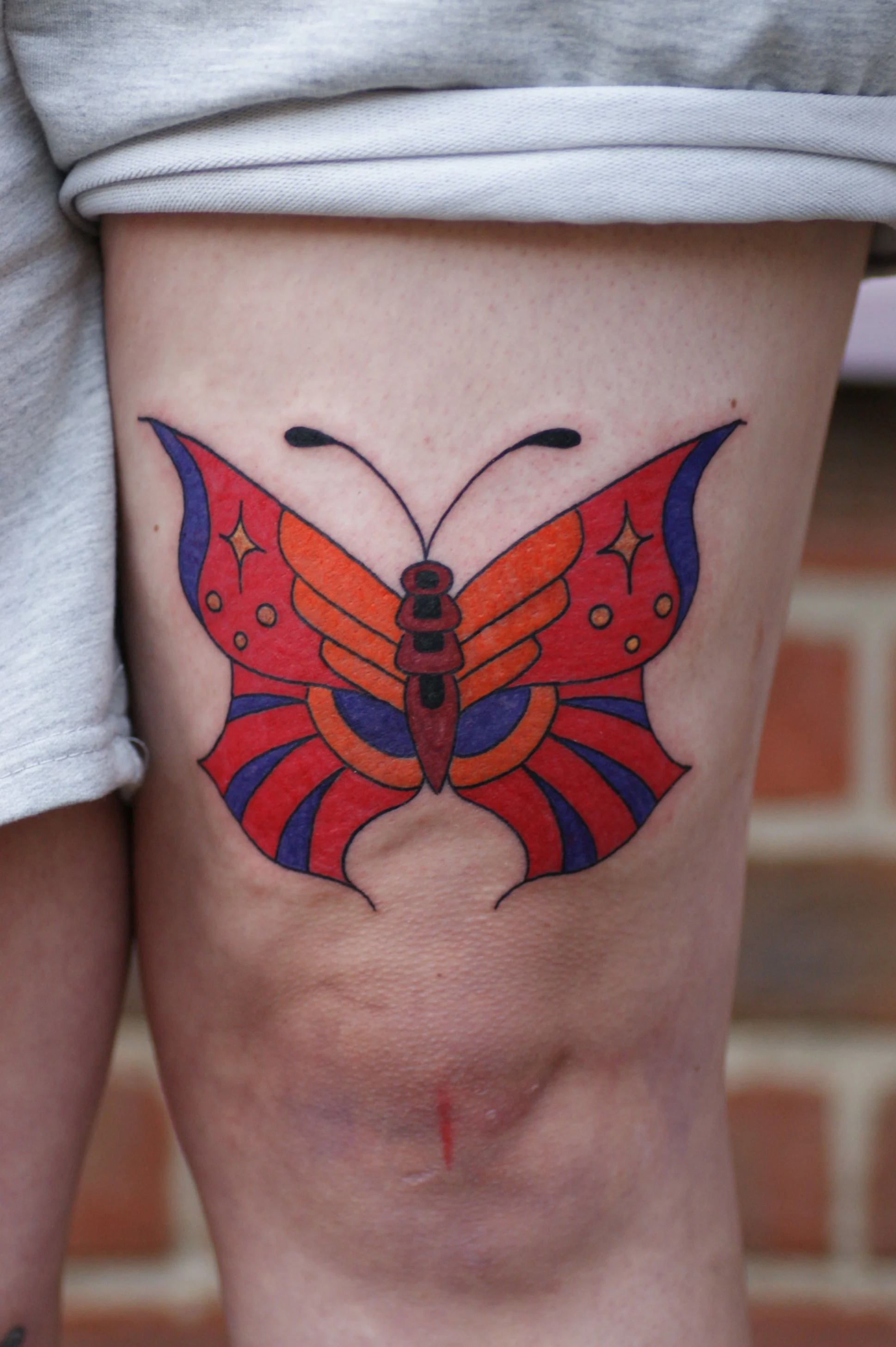 Butterfly