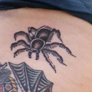 Tarantula