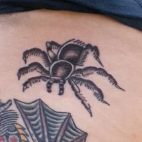 Tarantula
