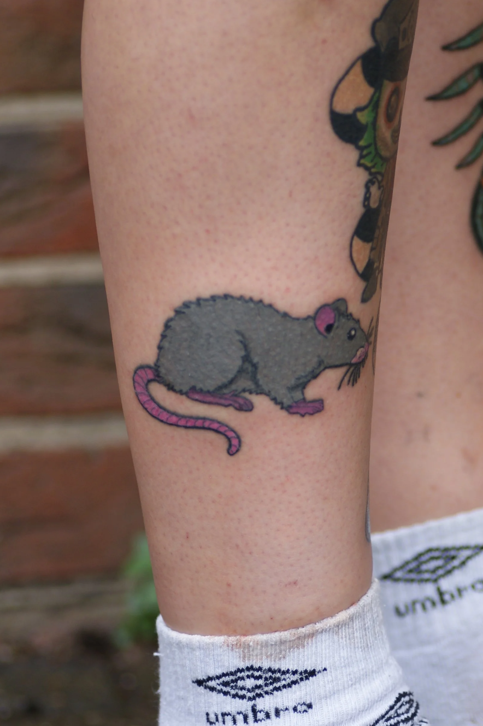 Rat