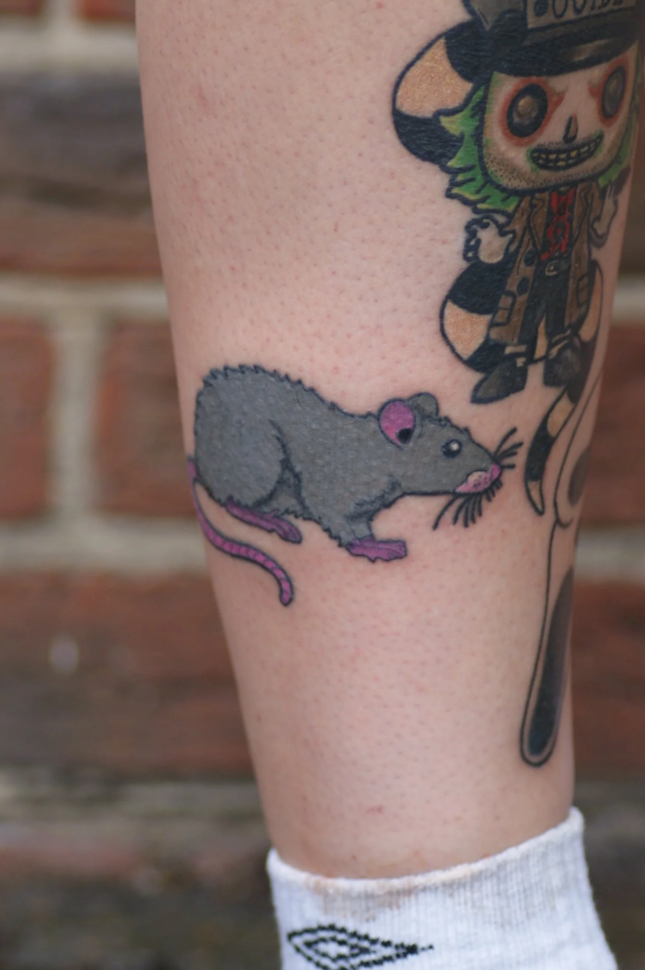 Rat