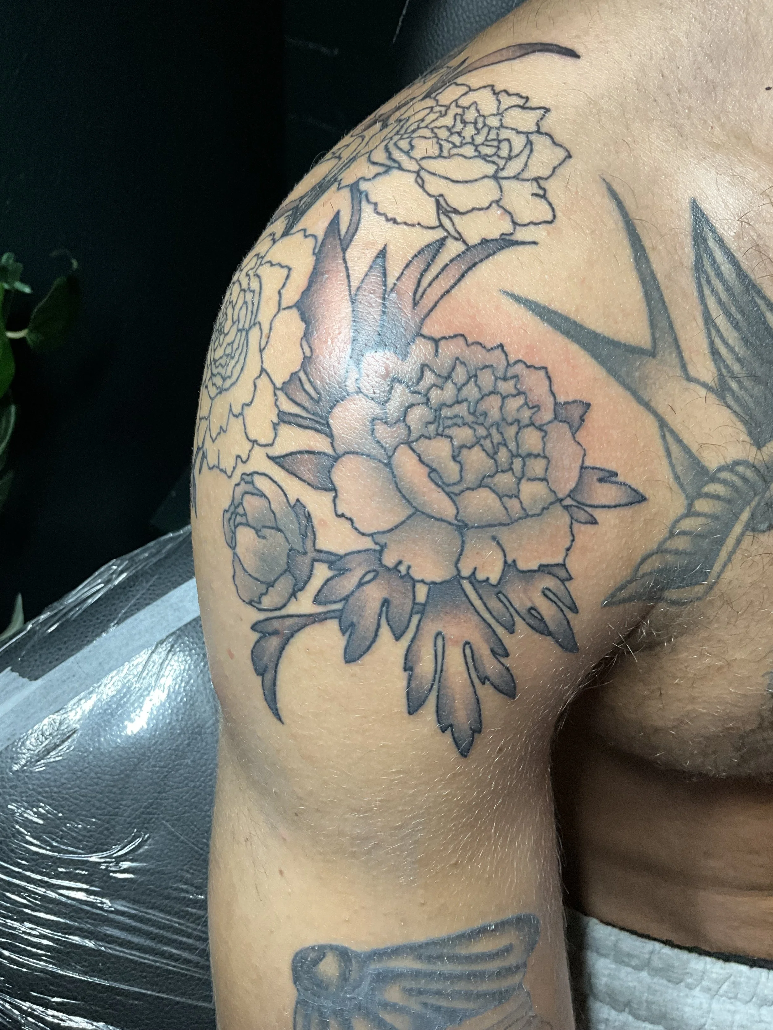 Peonies
