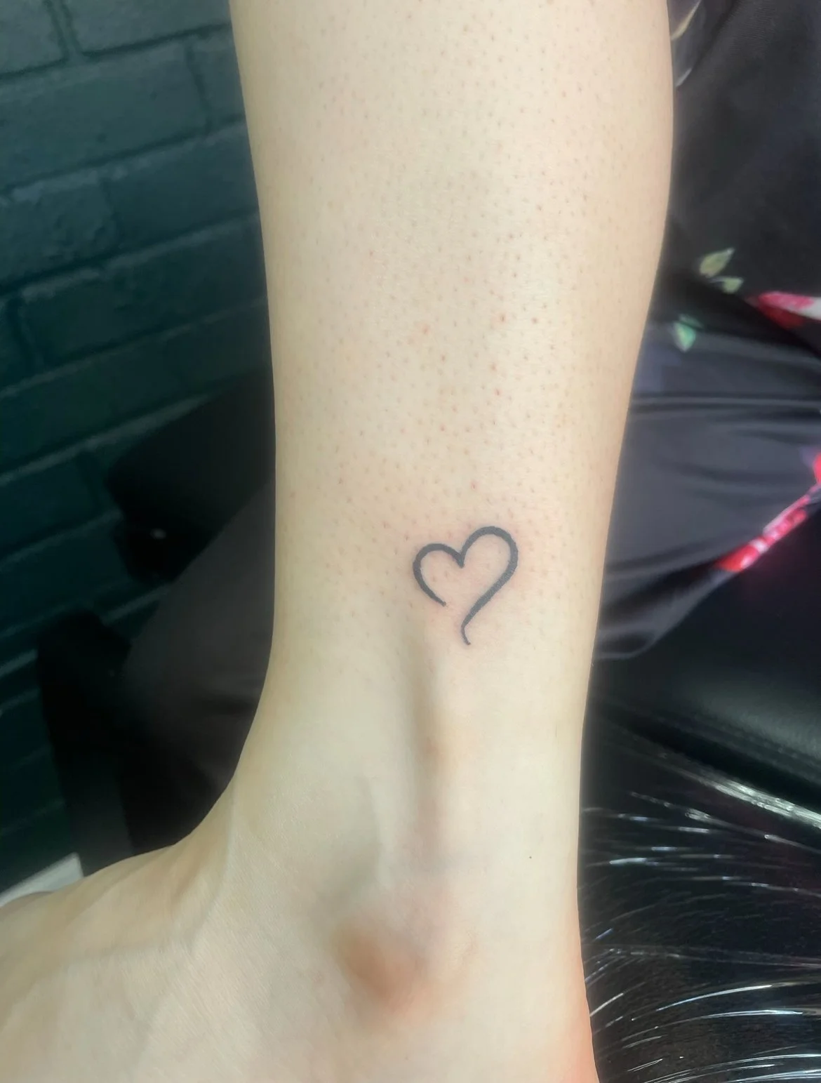 Heart