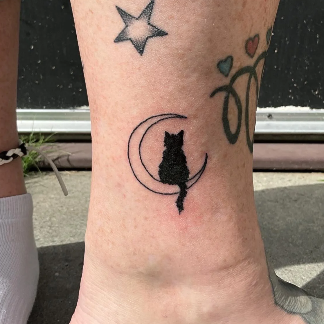 Fluffy Black Cat & Moon.
