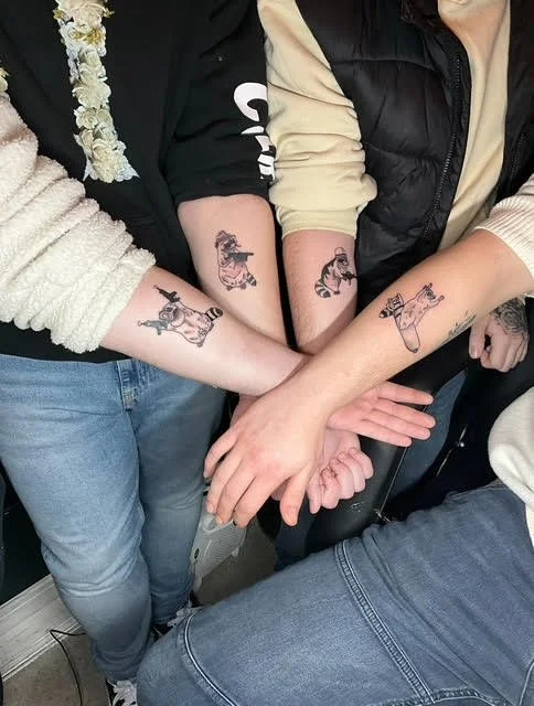 Raccoons