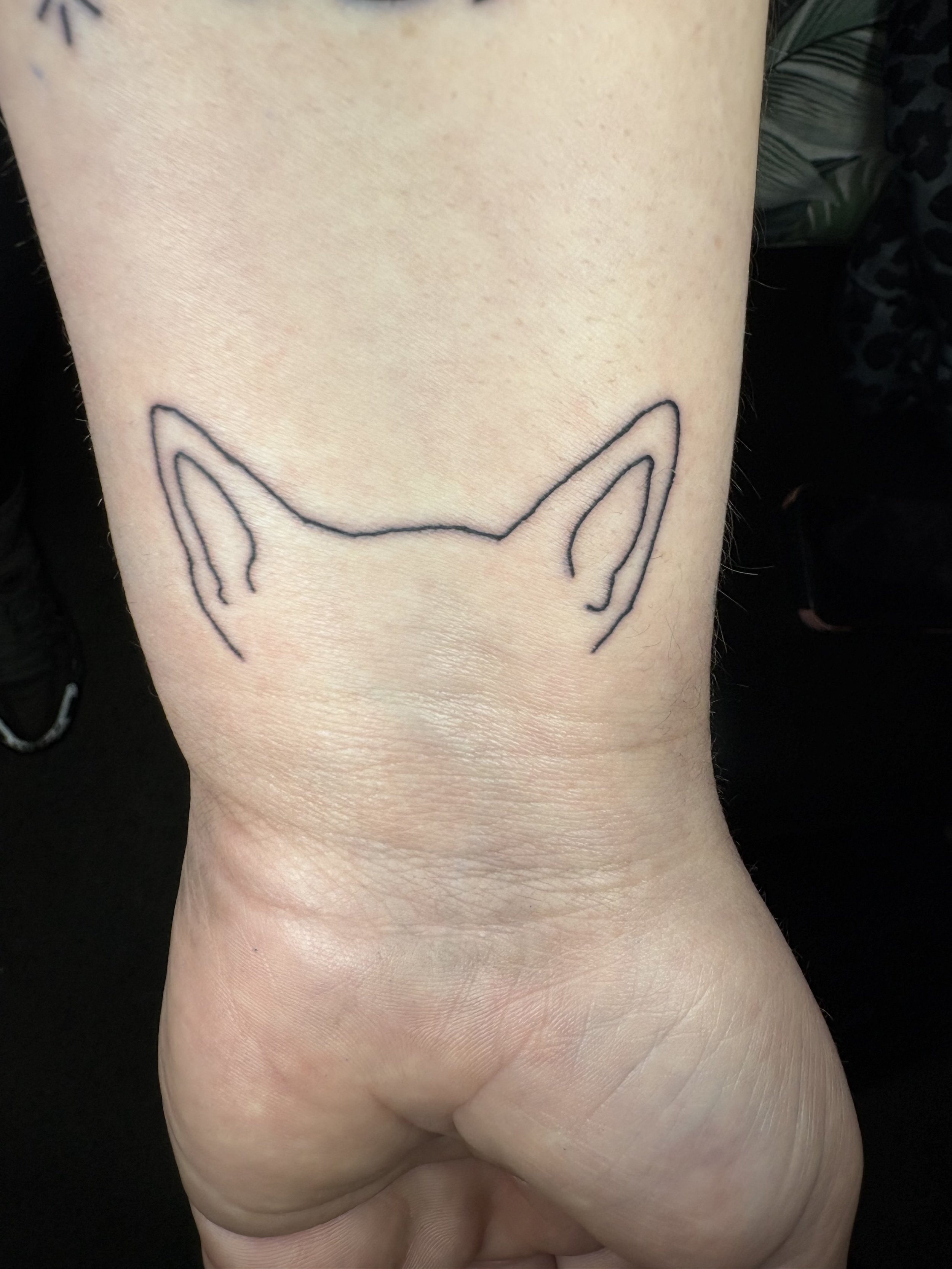 Dog Ears