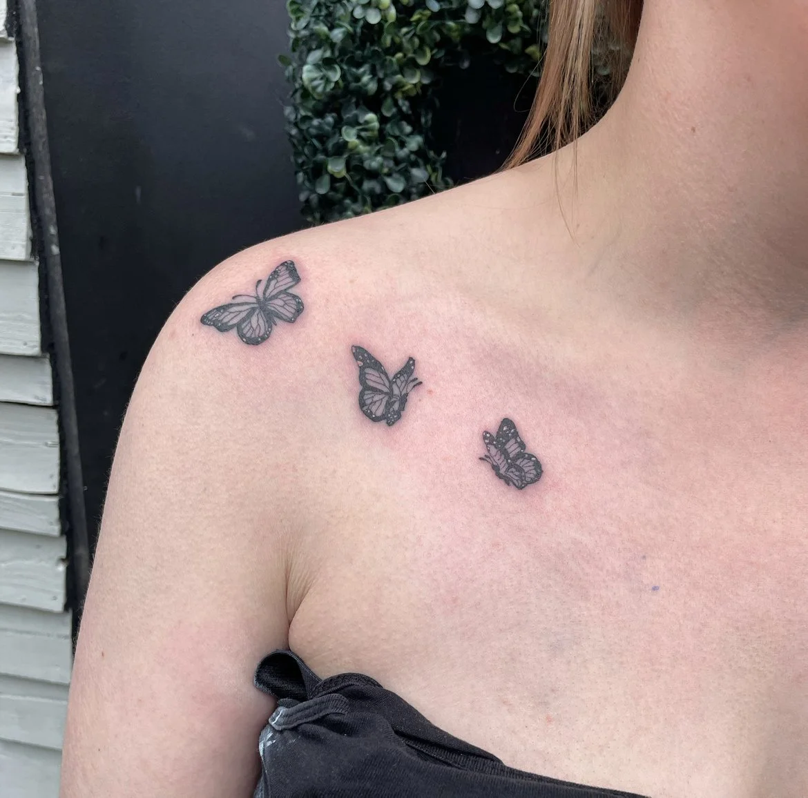 Butterflies