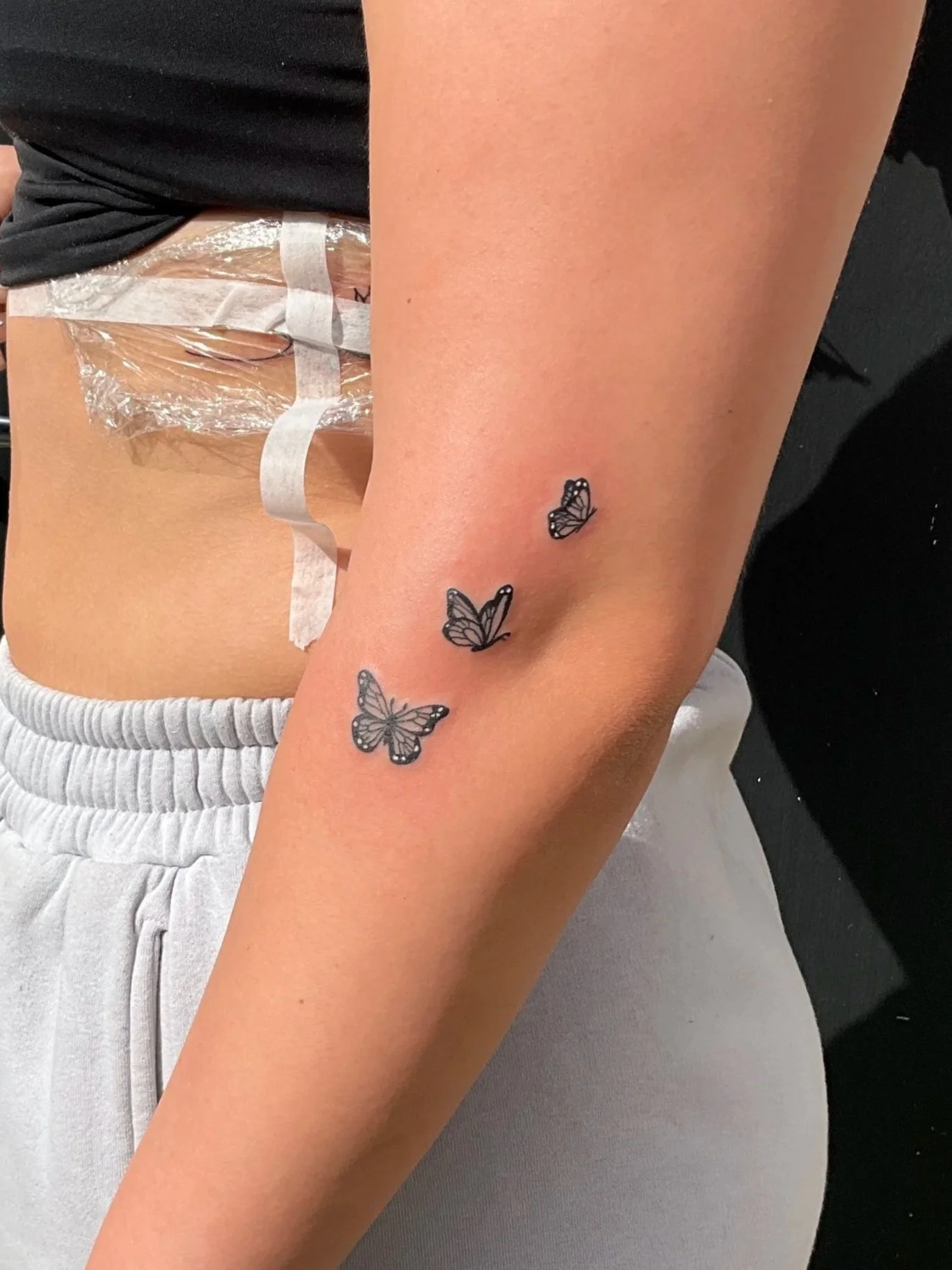 3 Butterflies.
