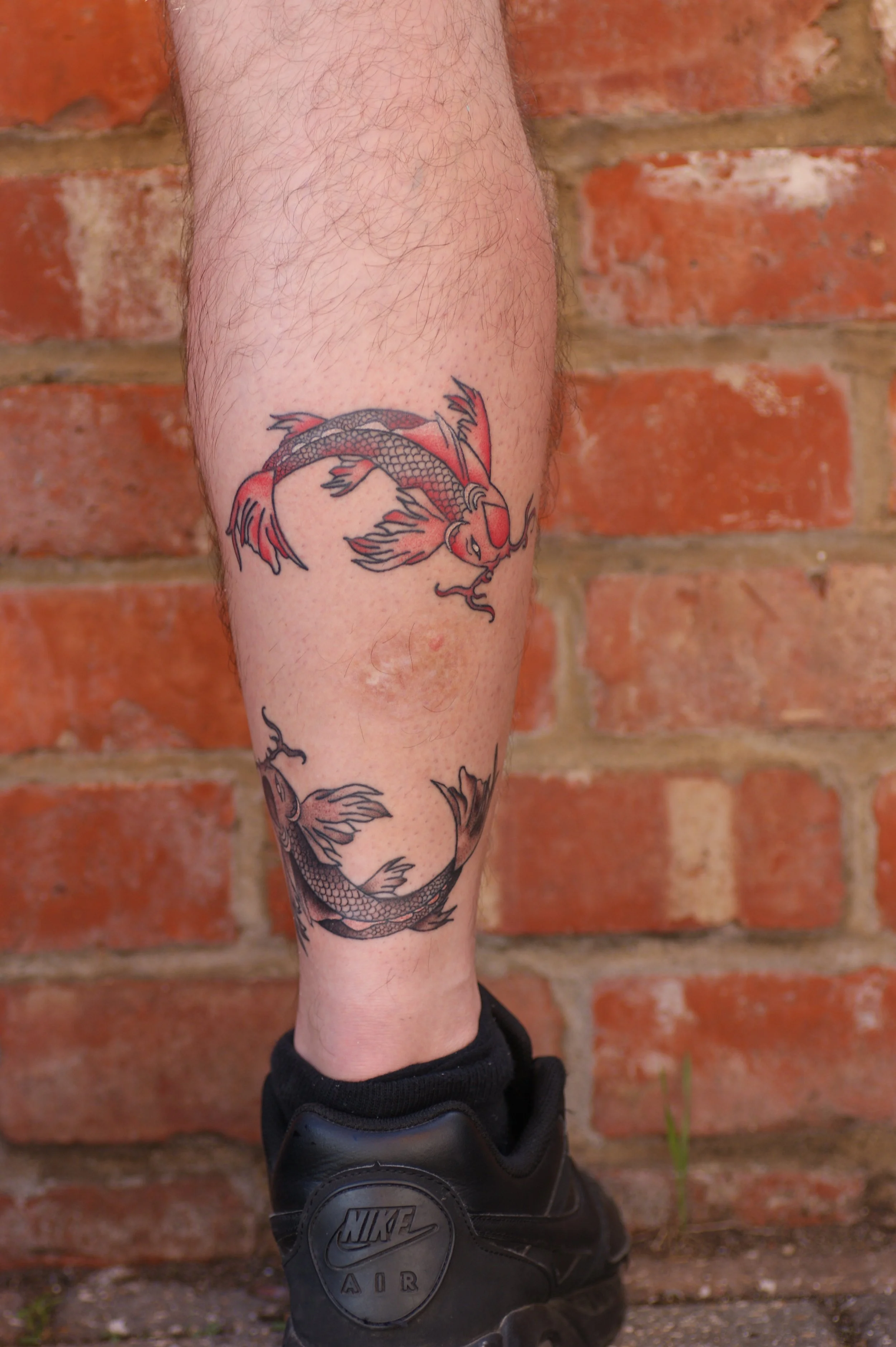 Koi Fish