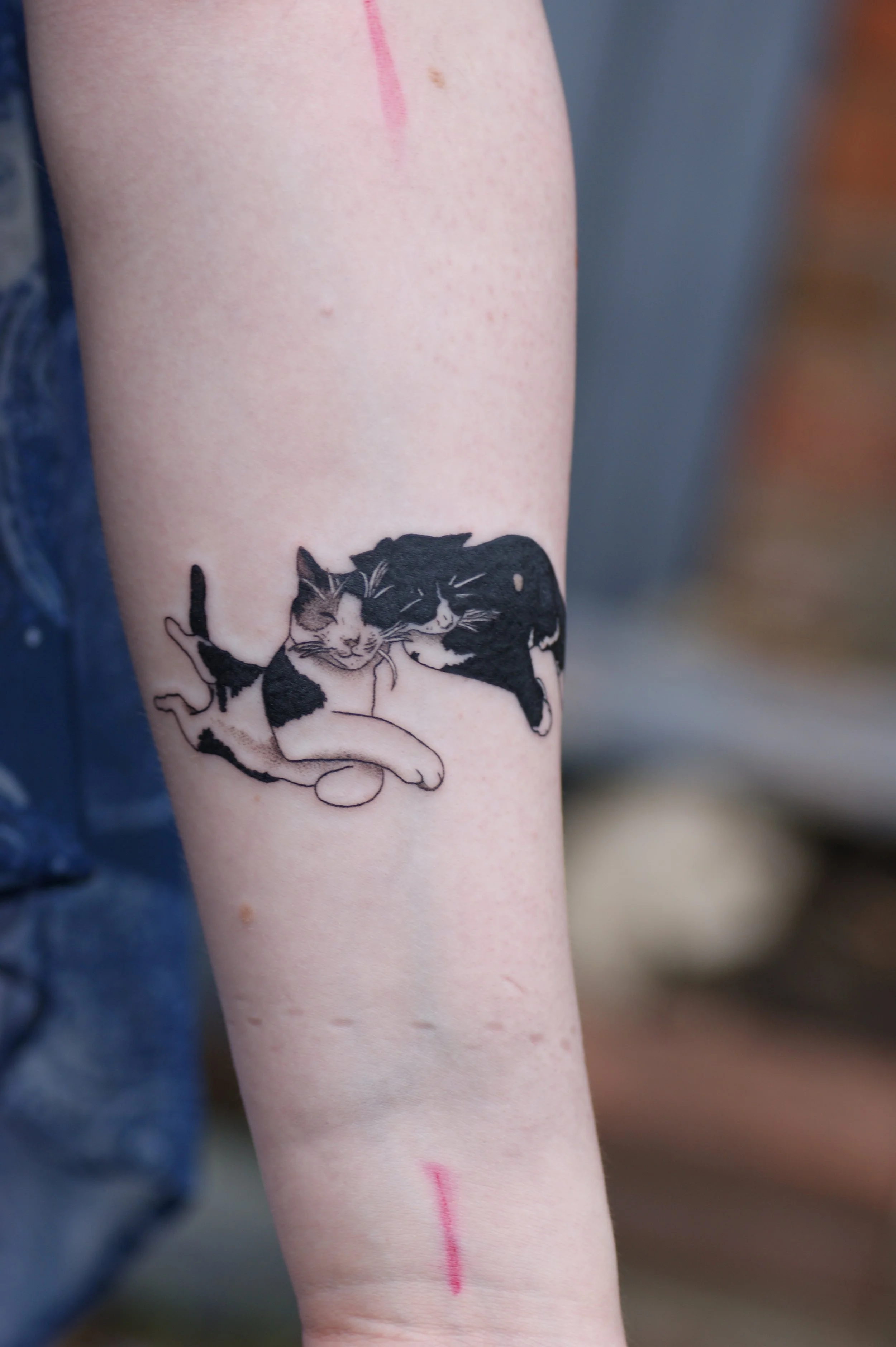 Personalised Cats
