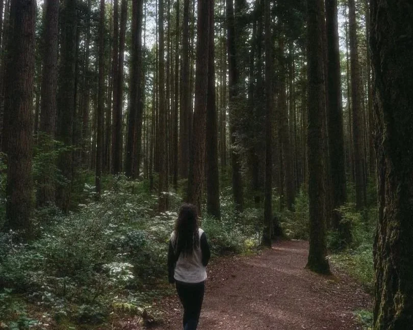 life coaching through feeling stuck, finding purpose, navigating change