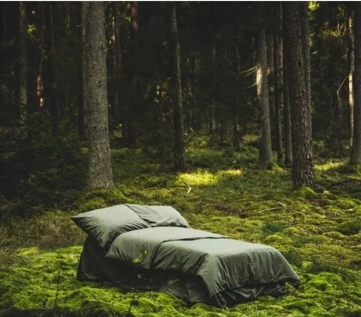 A bed with dark gray bedding and pillows is set up on a lush green mossy area in a dense forest surrounded by tall trees.