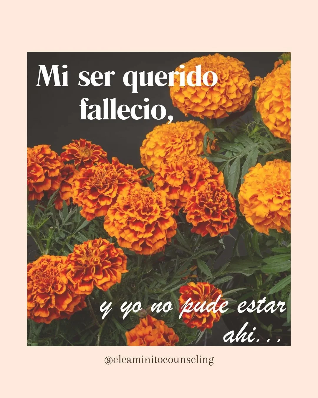 🕯️Immigrantes indocumentados suelen vivir en el constante miedo de no volver a ver a sus seres queridos lo cual impacta su salud emocional tiempo antes de vivir el duelo transnacional.

🕯️El no poder assistir a los funerales causa sentimientos prof