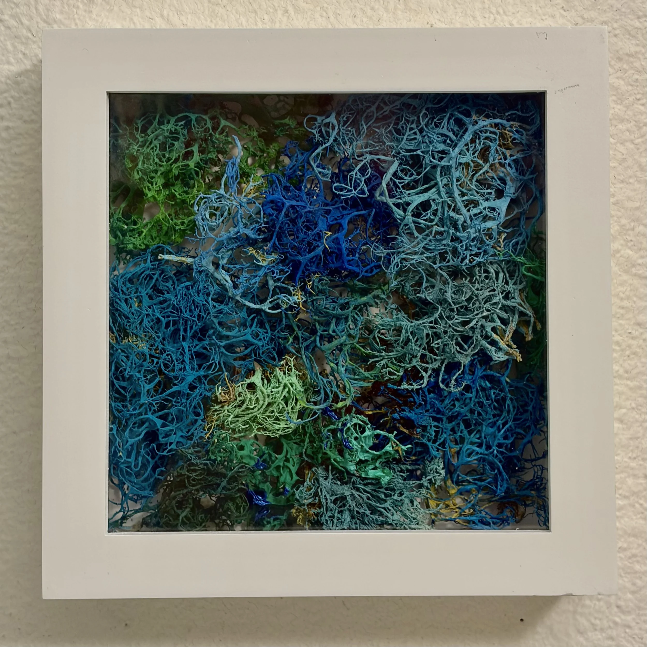 Coral Reimagined 3