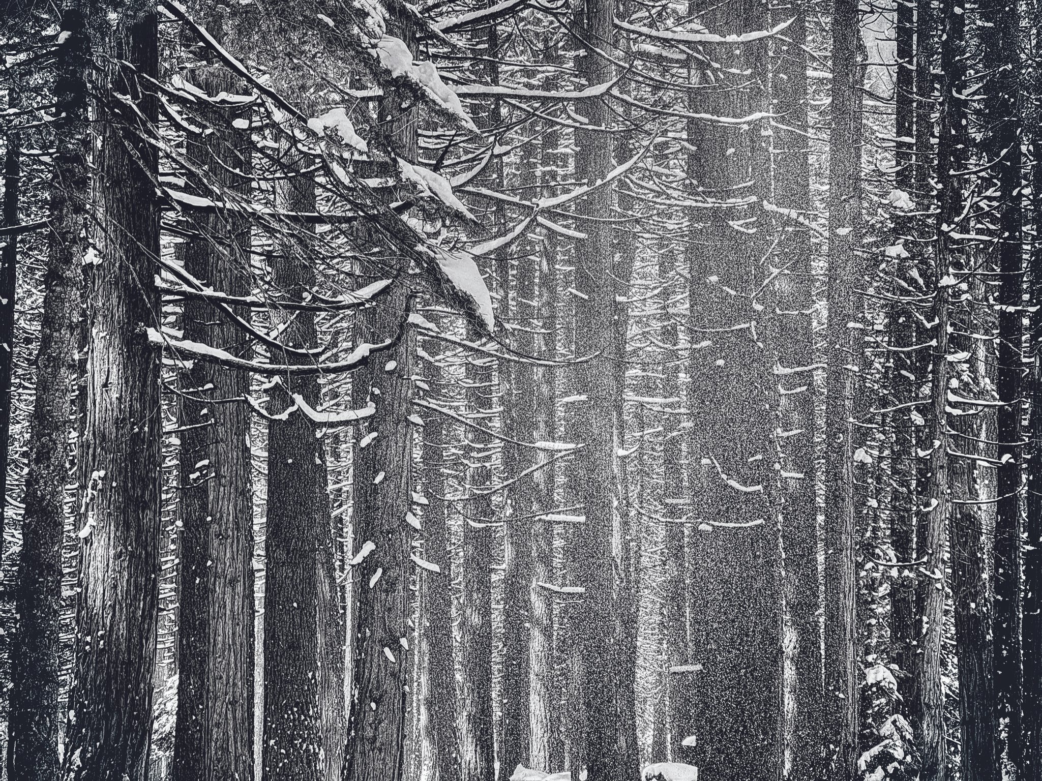 Whiteout, Photography 