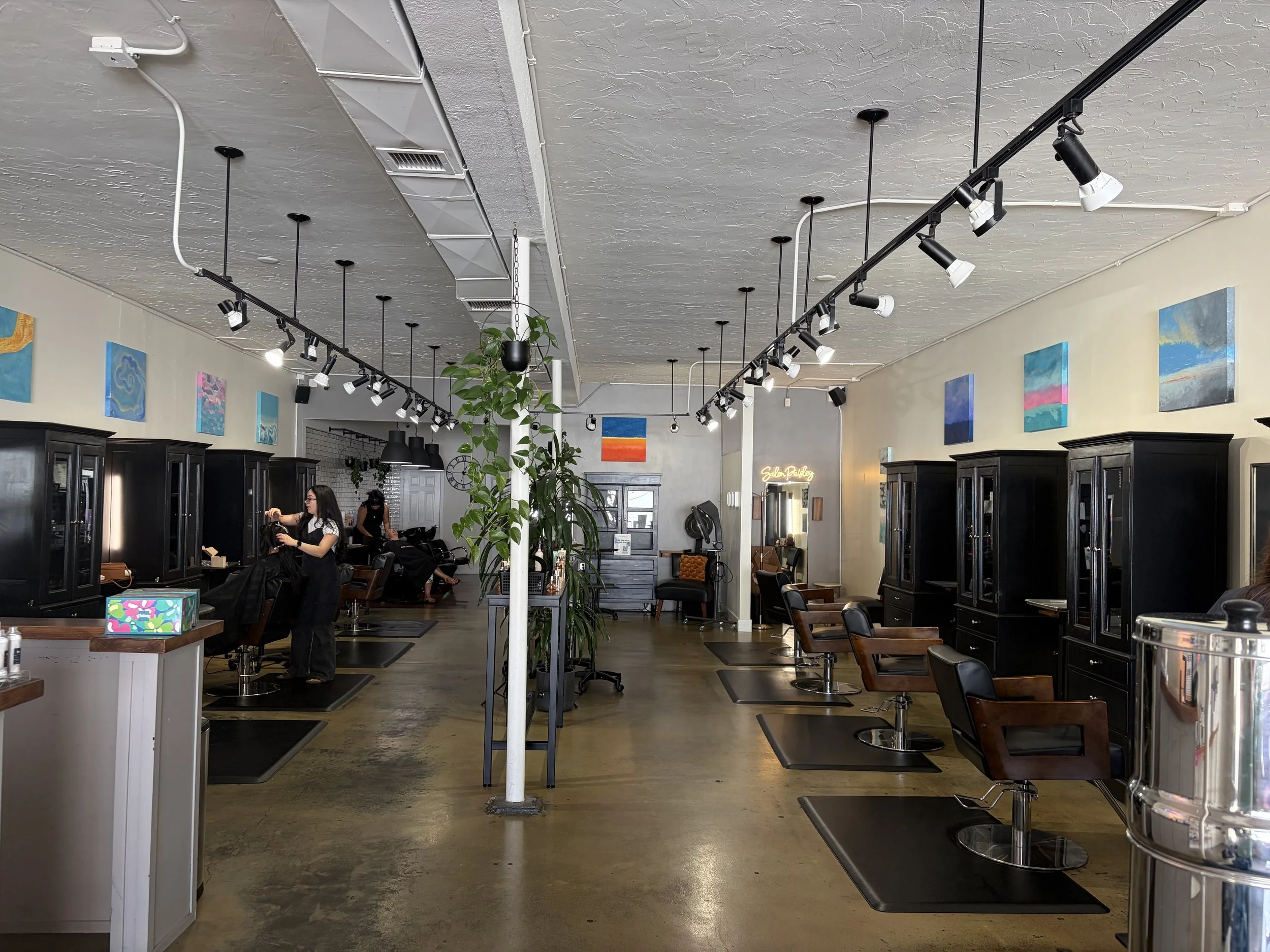 Featured Artist @ Salon Paisley 
