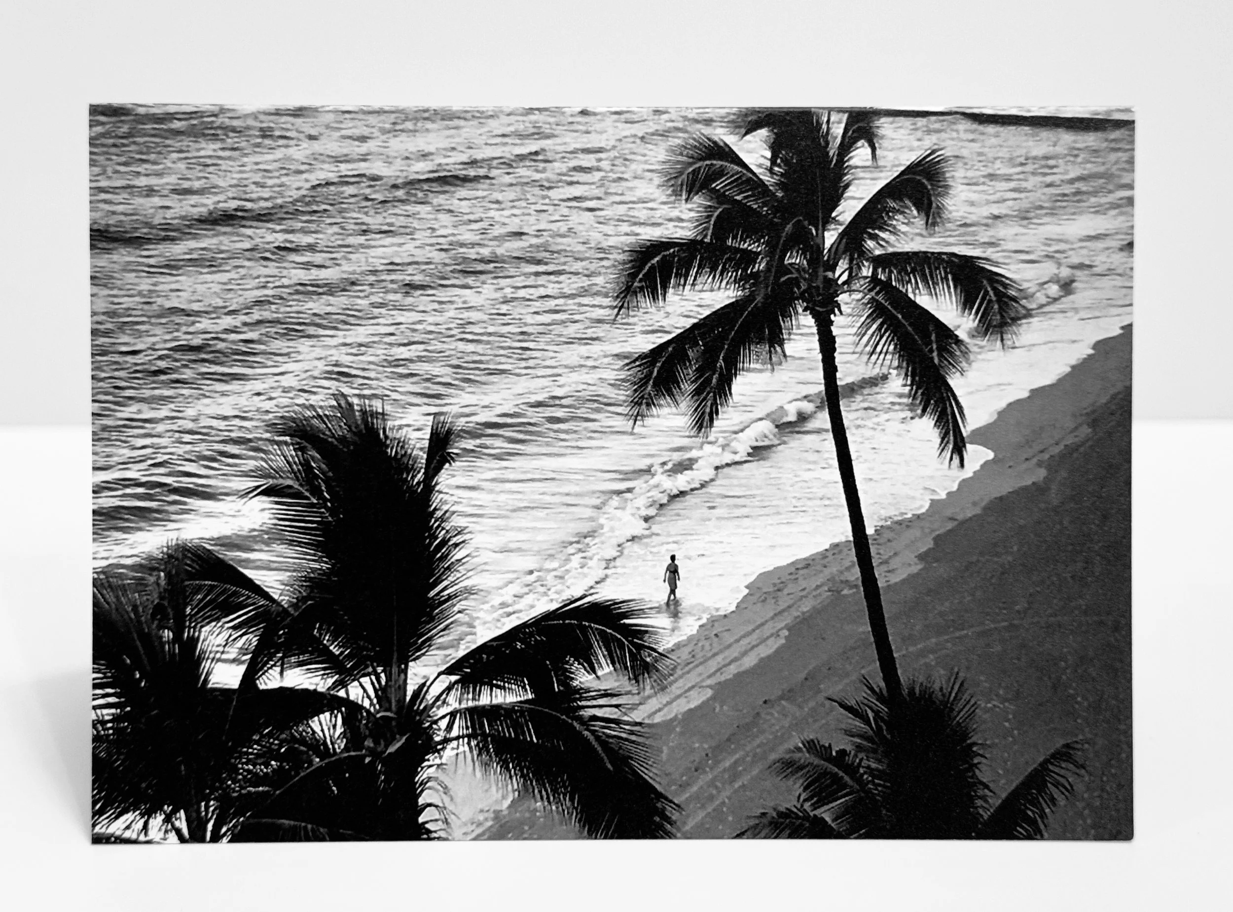 Birthday Card: Palm