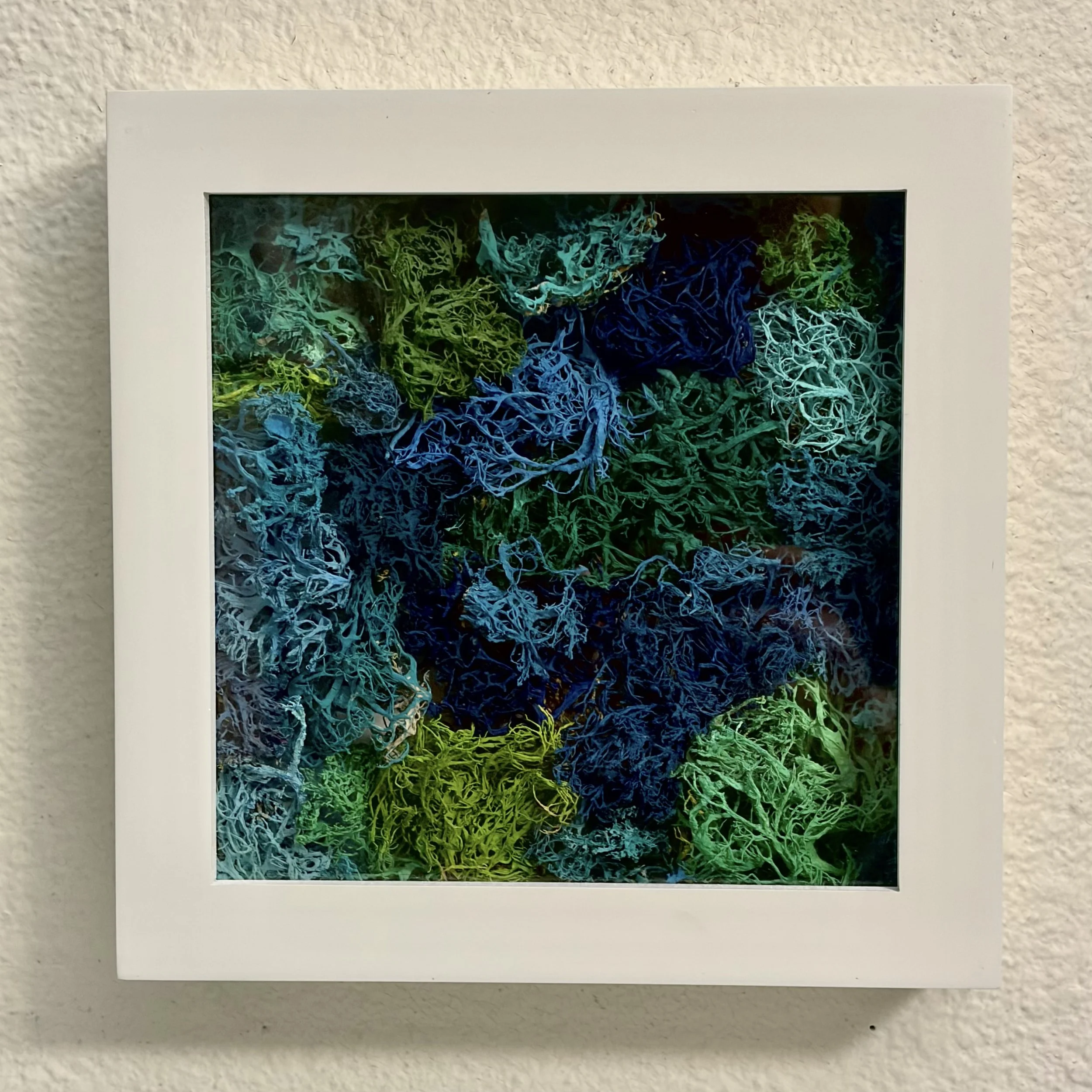 Coral Reimagined 1