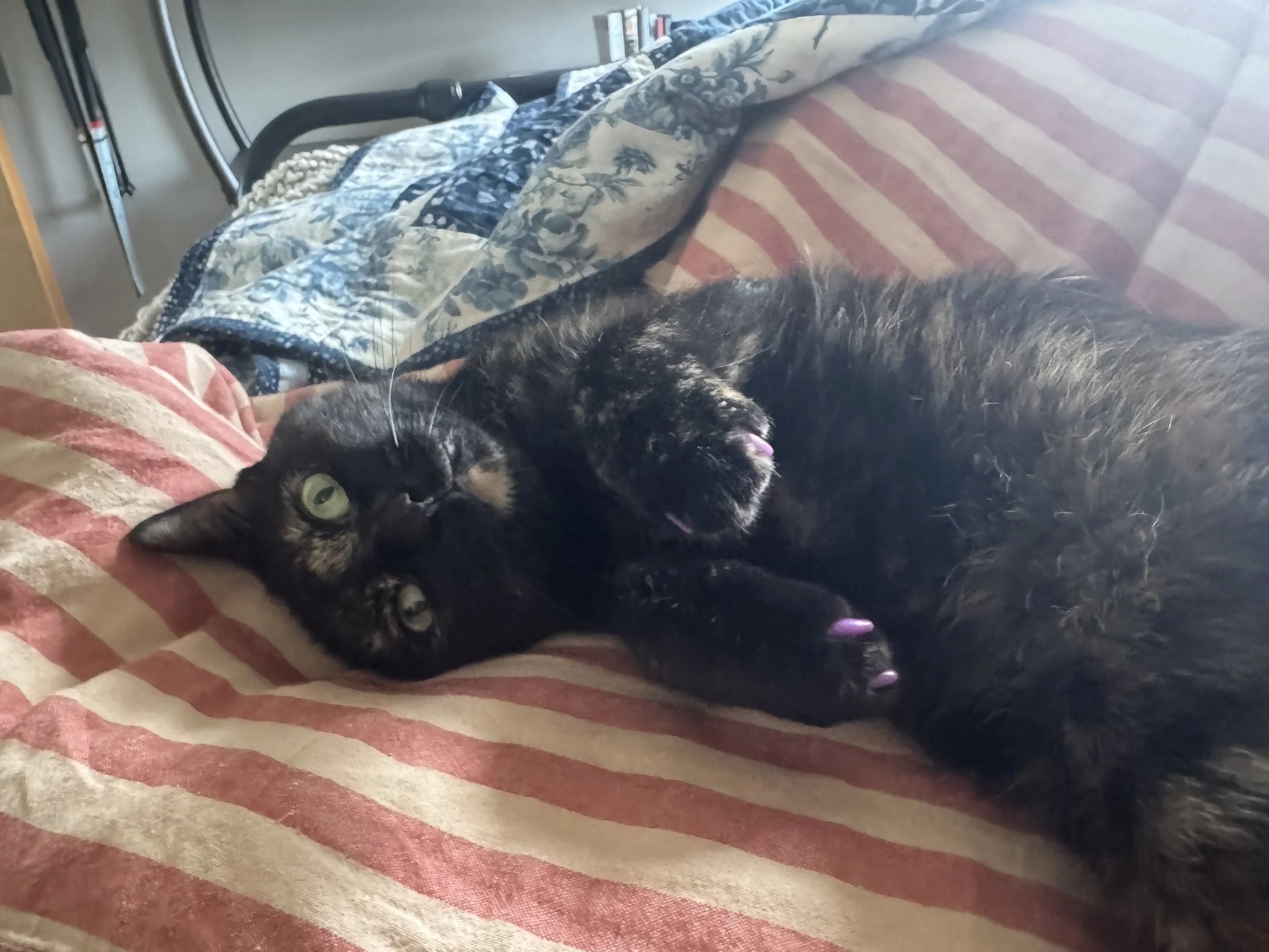 We set a publishing date!