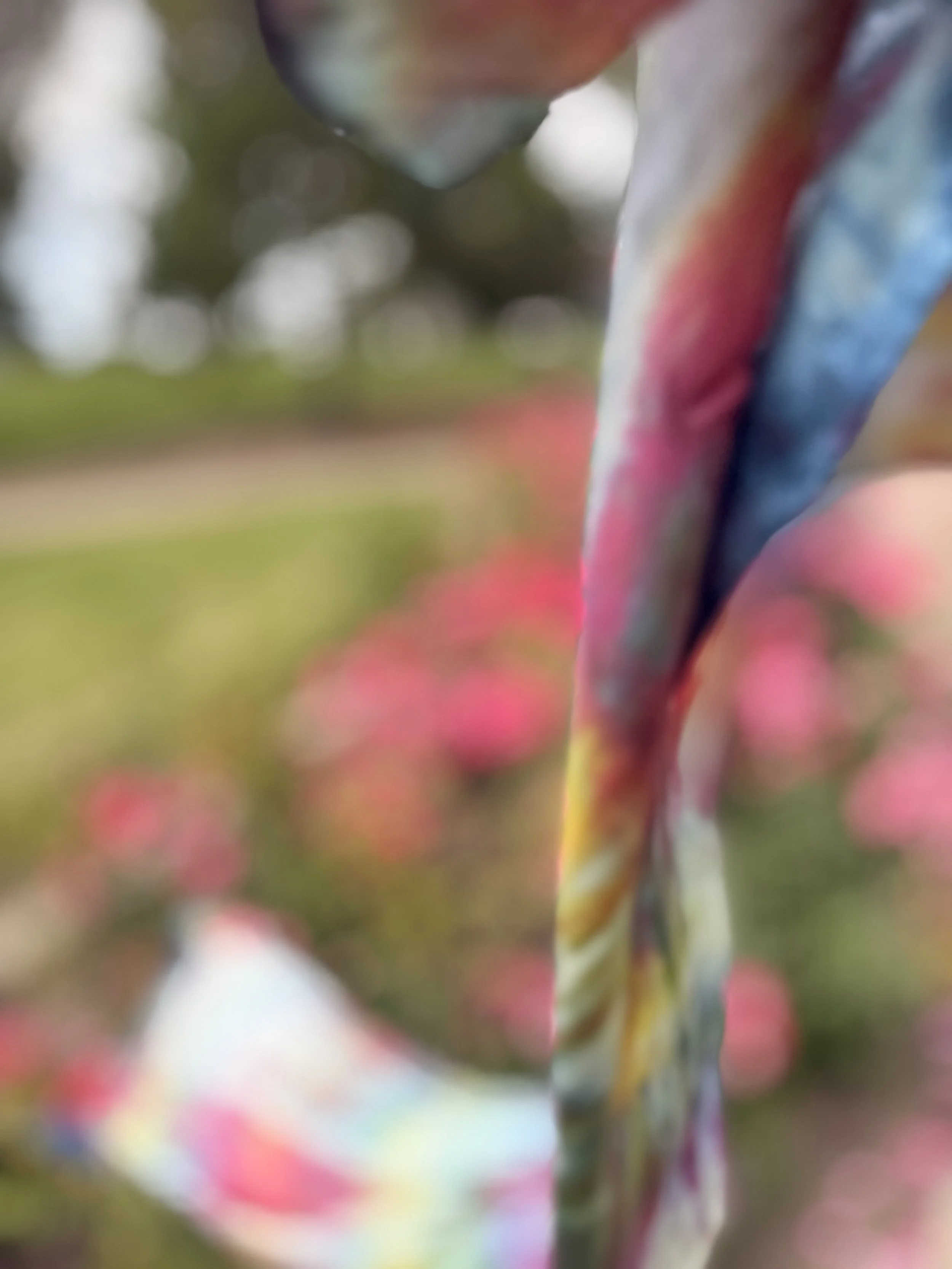 IMG_1904.jpeg