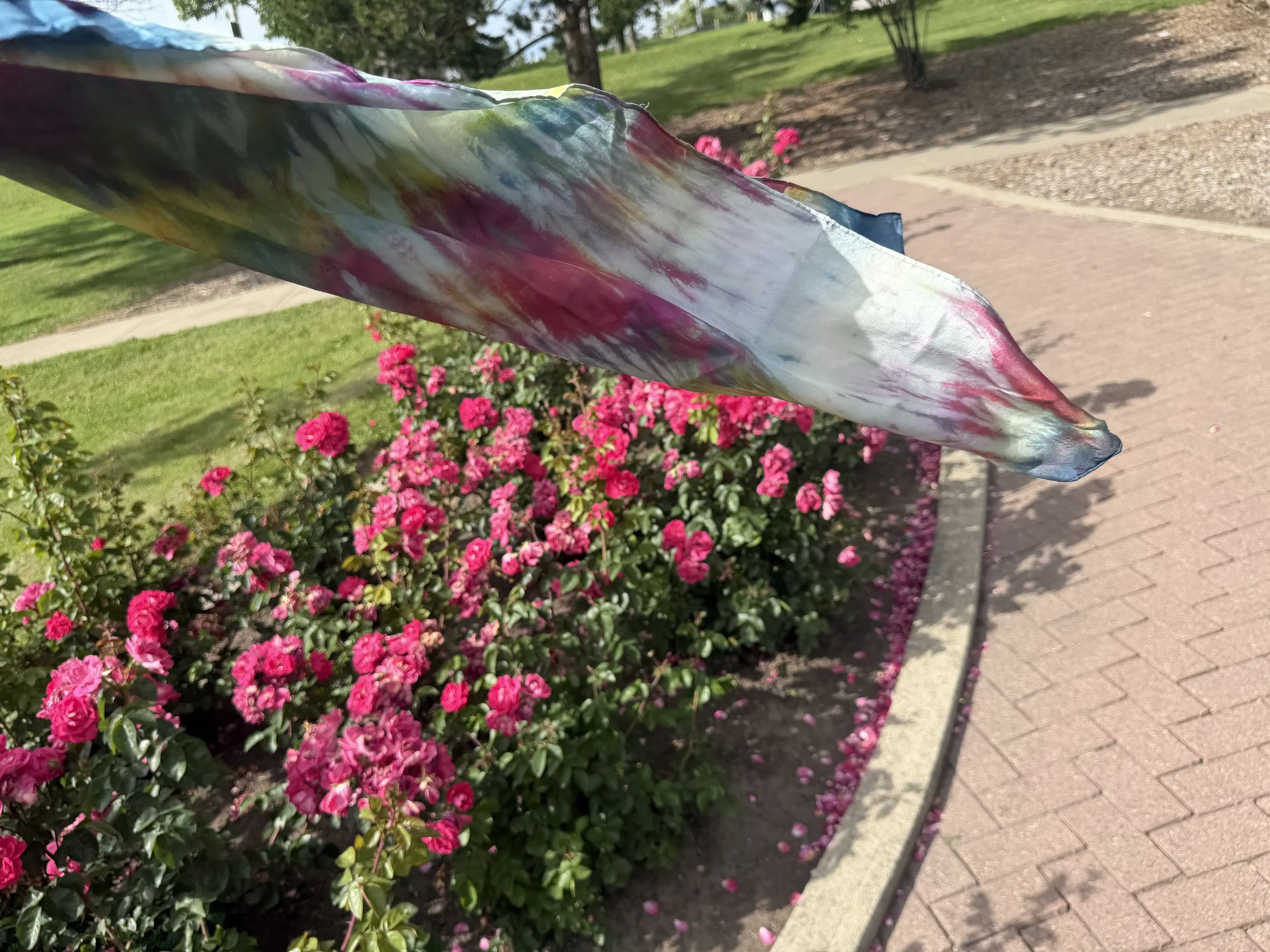 IMG_1898.jpeg