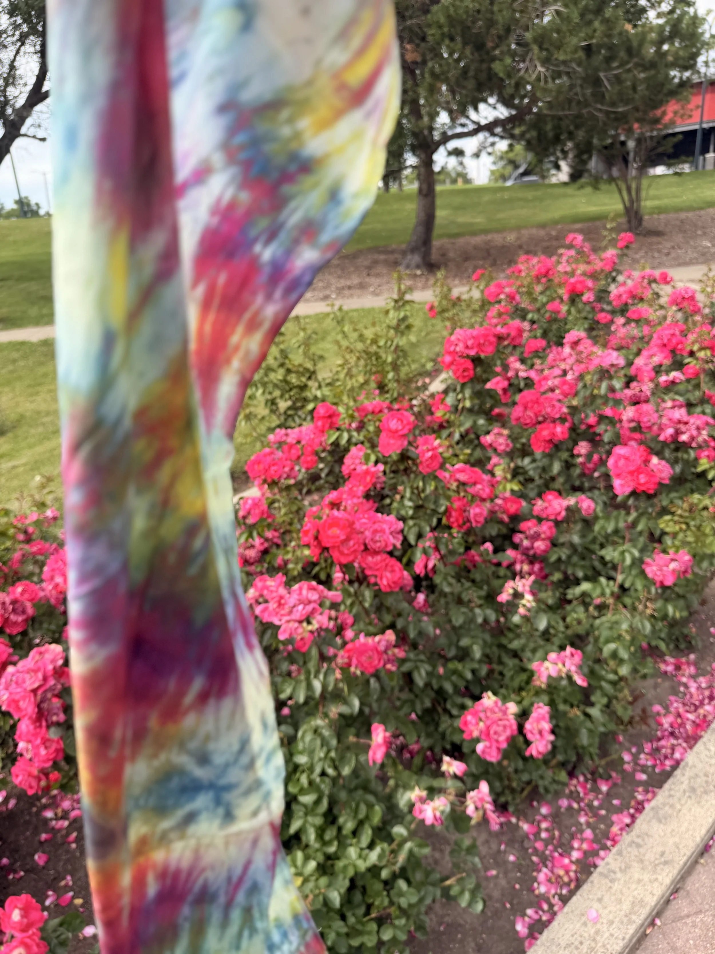 IMG_1908.jpeg