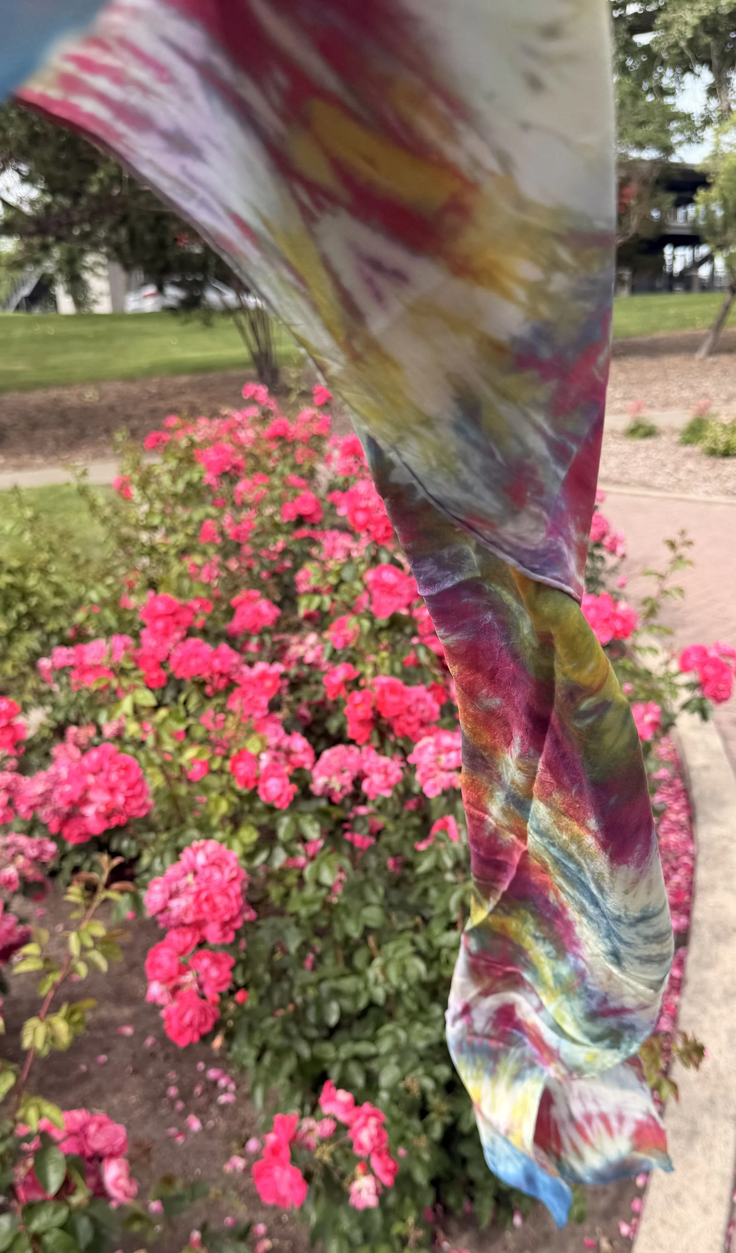 IMG_1907.jpeg