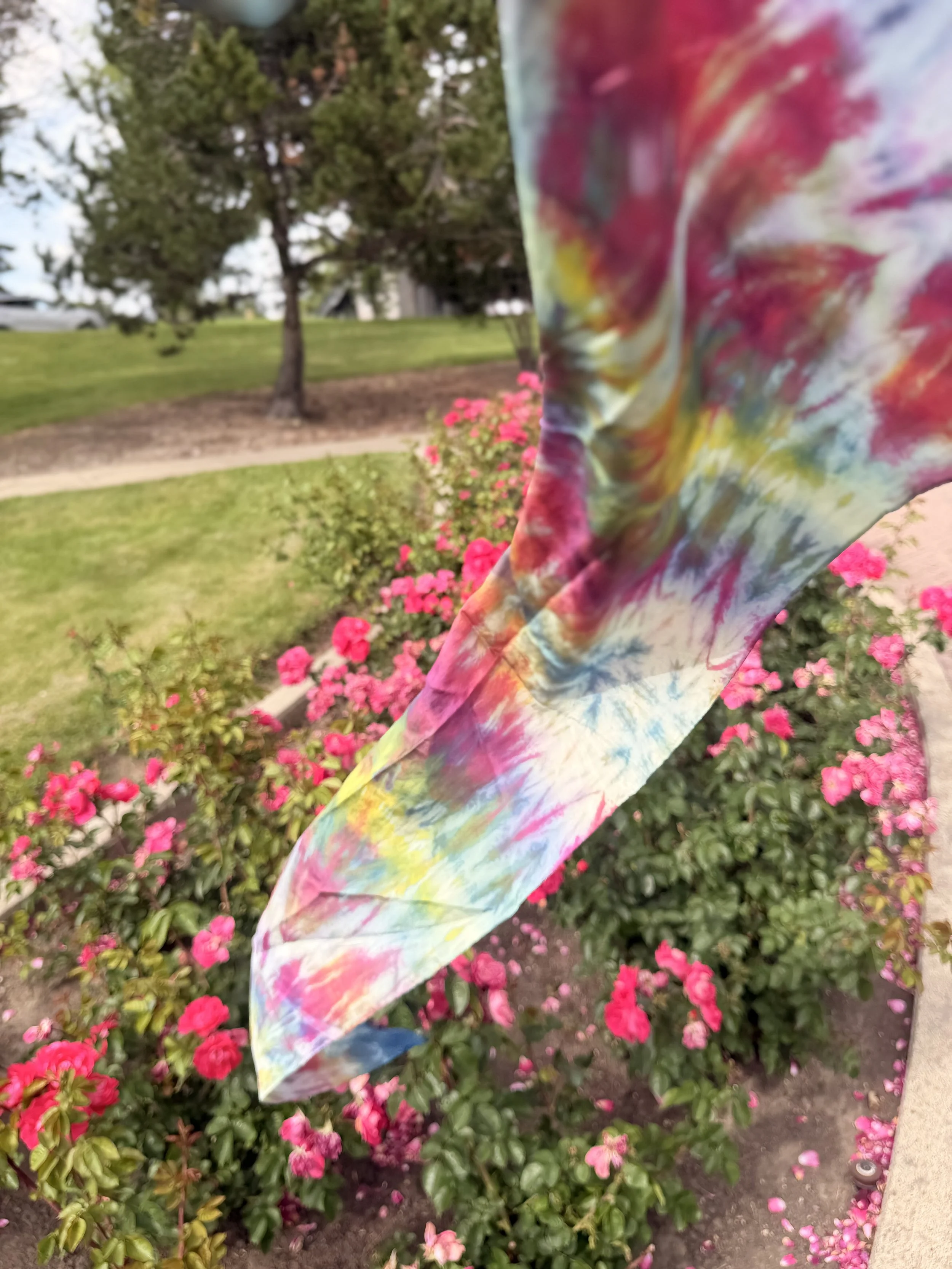 IMG_1905.jpeg