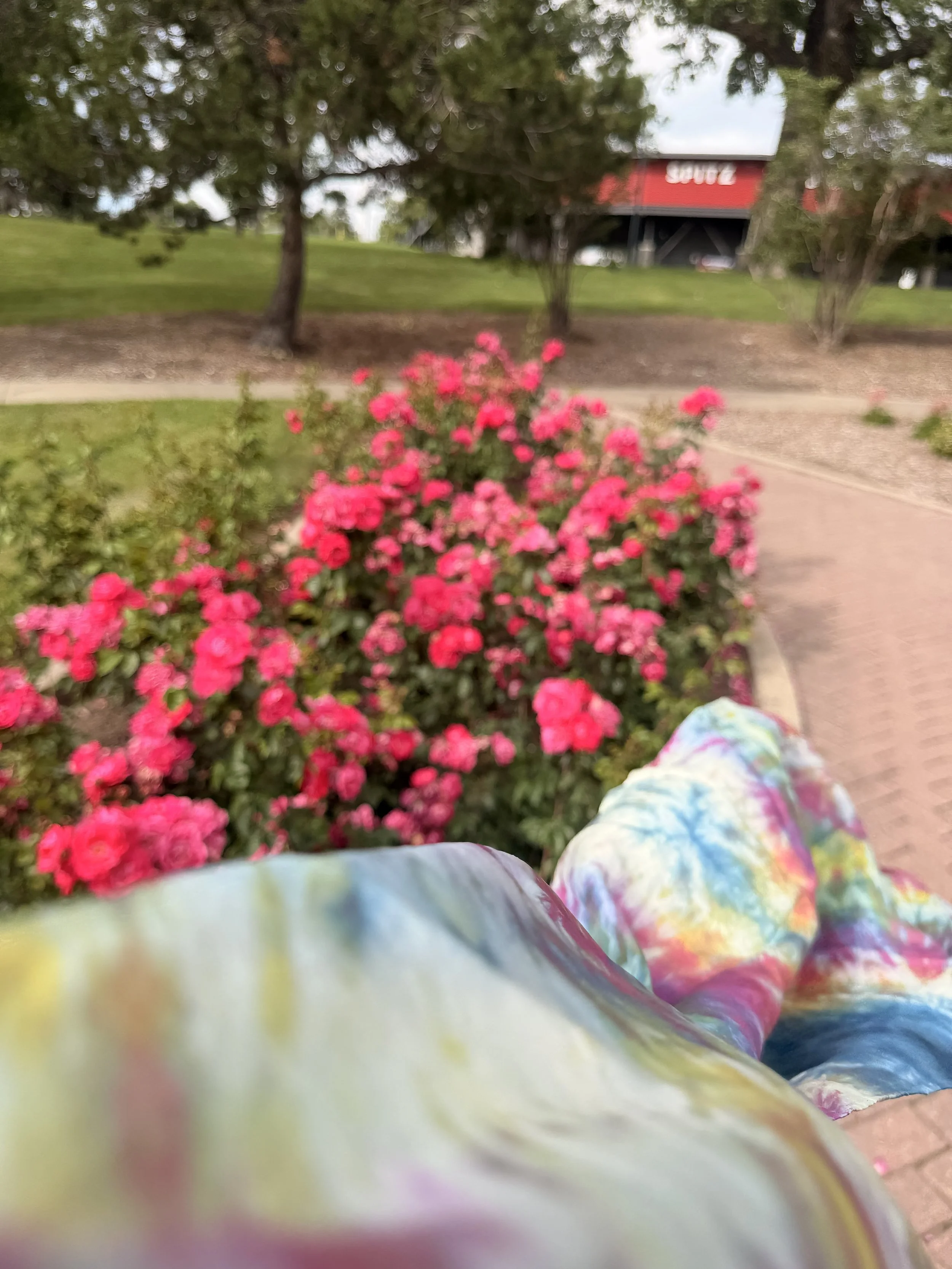IMG_1902.jpeg