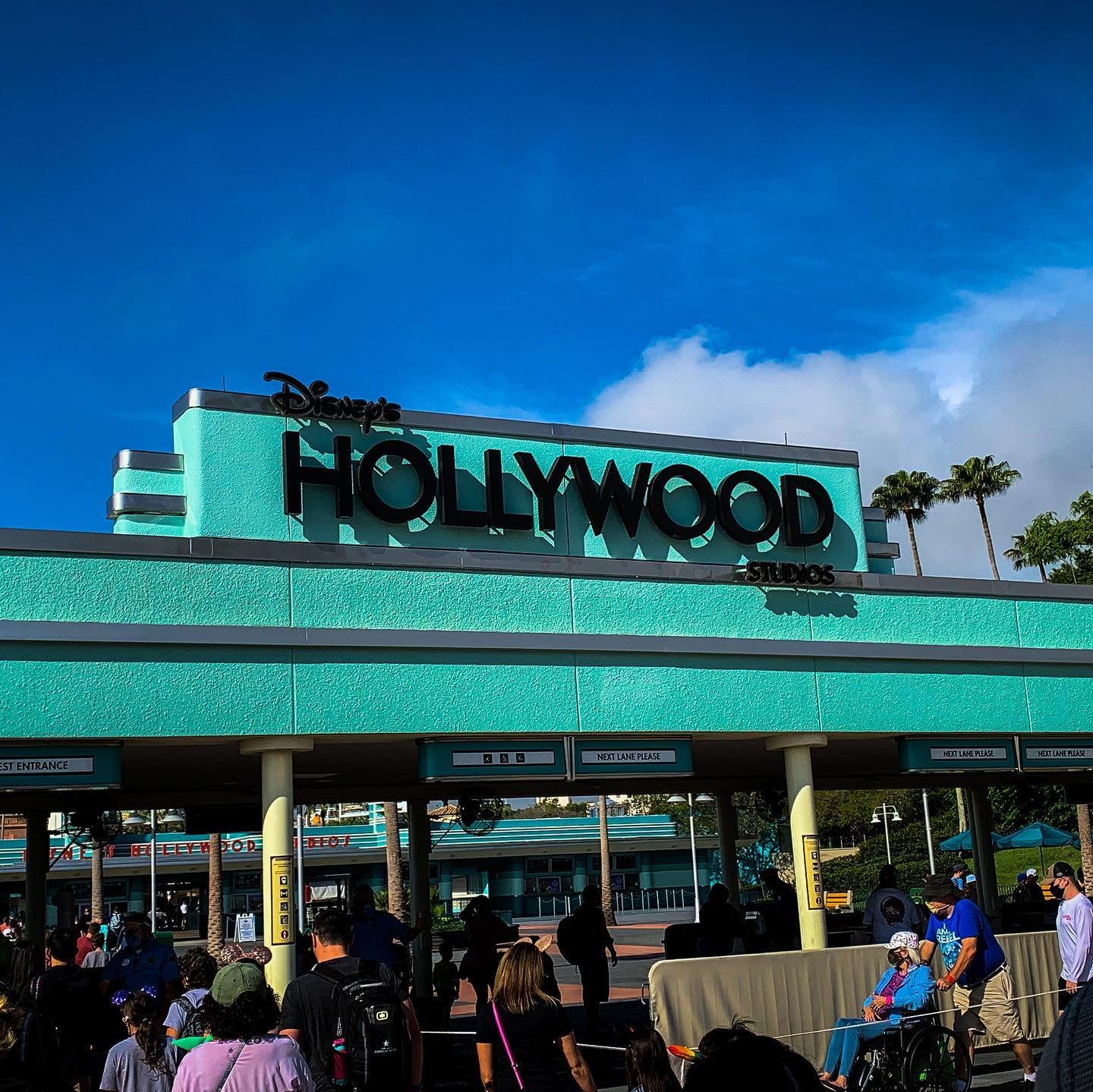 Little cleaner than the real Hollywood. Actually, a LOT cleaner...