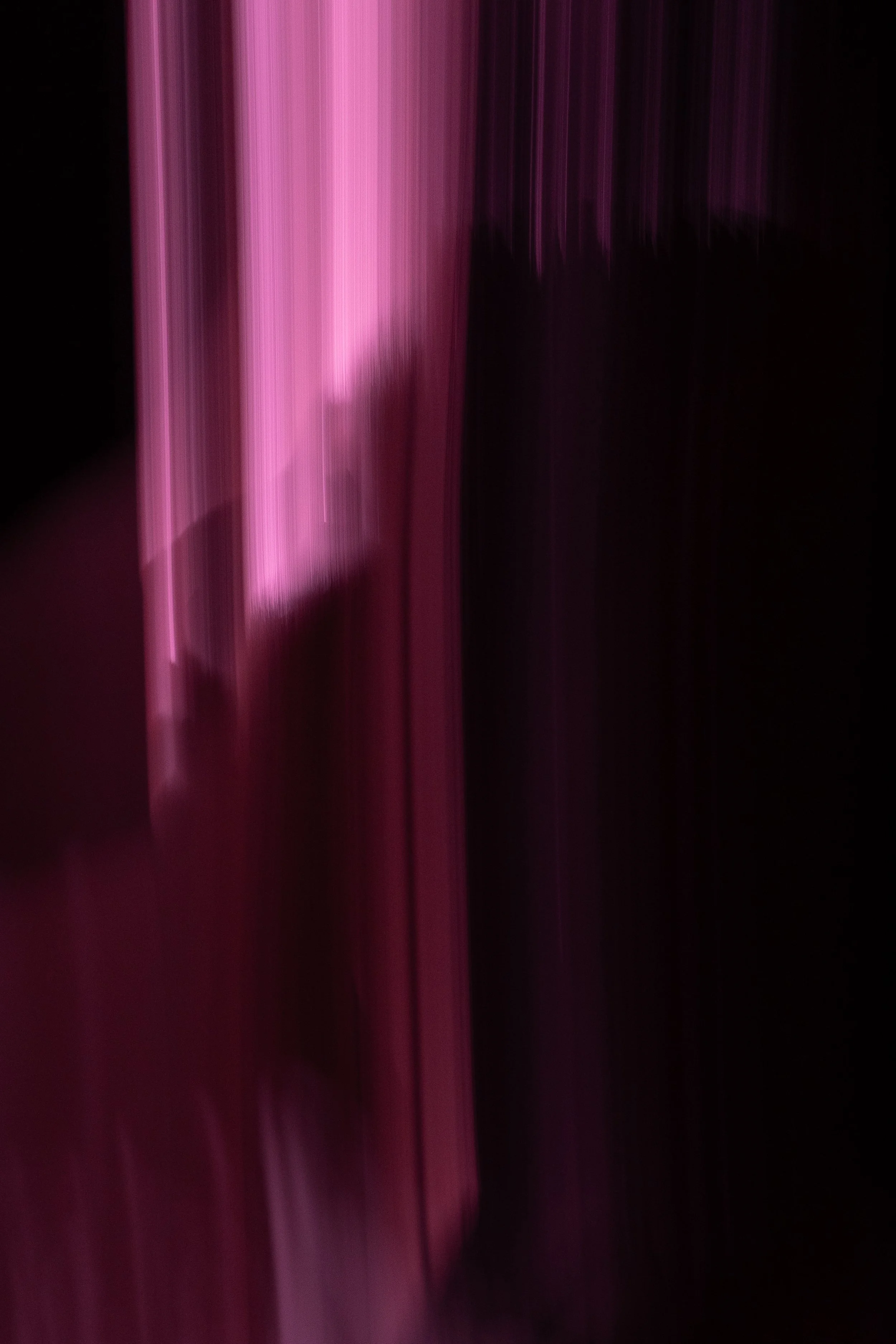 DSC05525.jpg