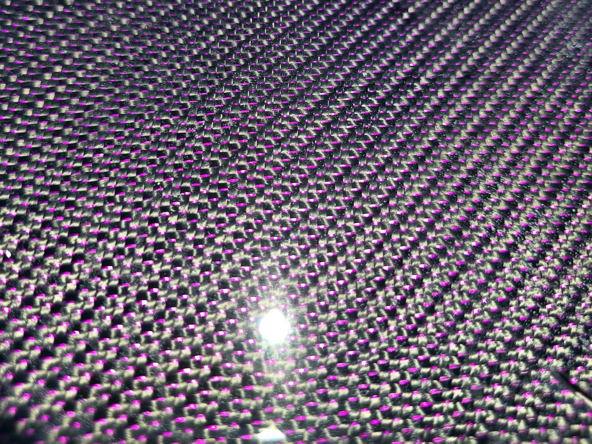 PURPLE+CARB.jpg