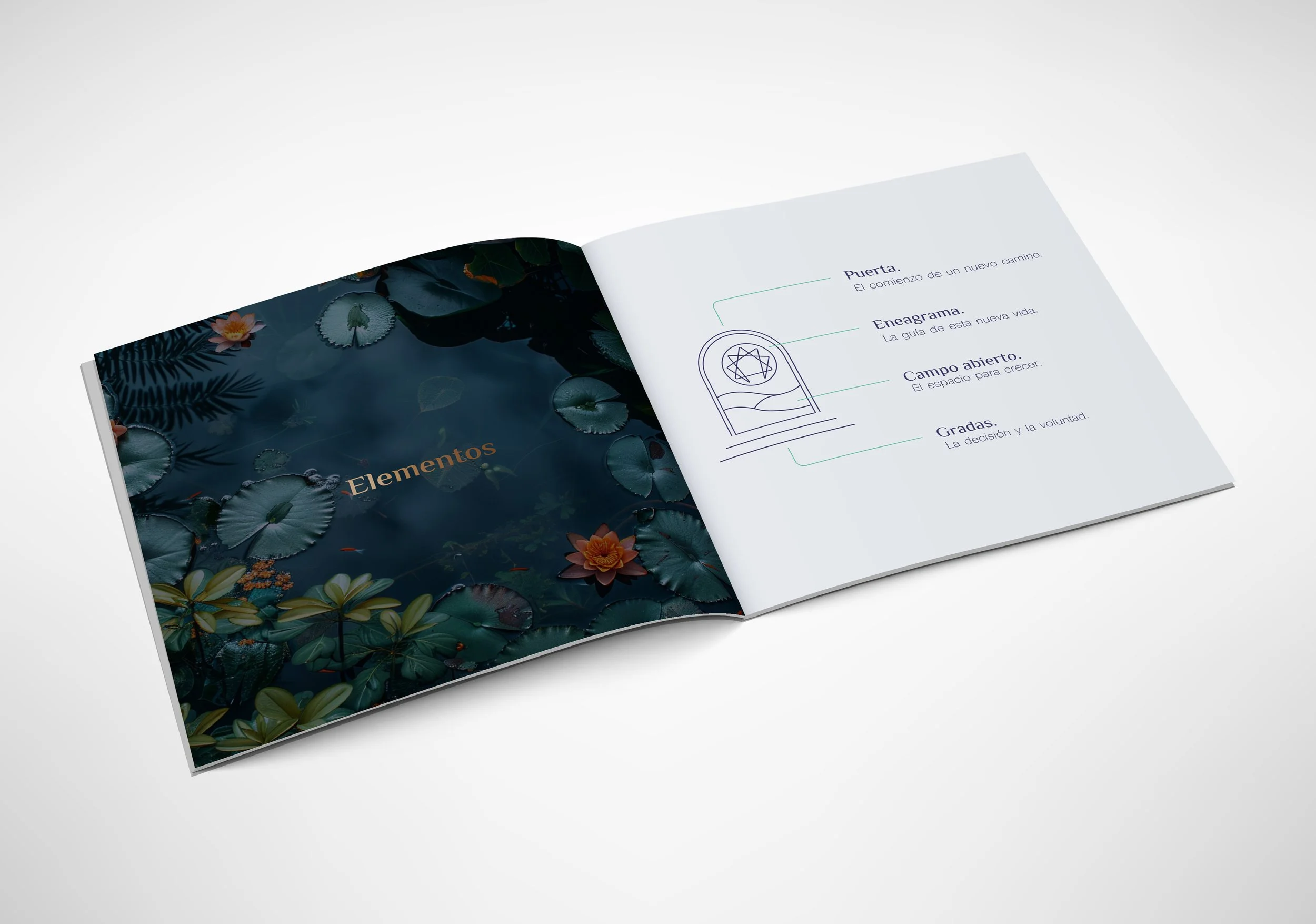 manual-mockup-cya.jpg