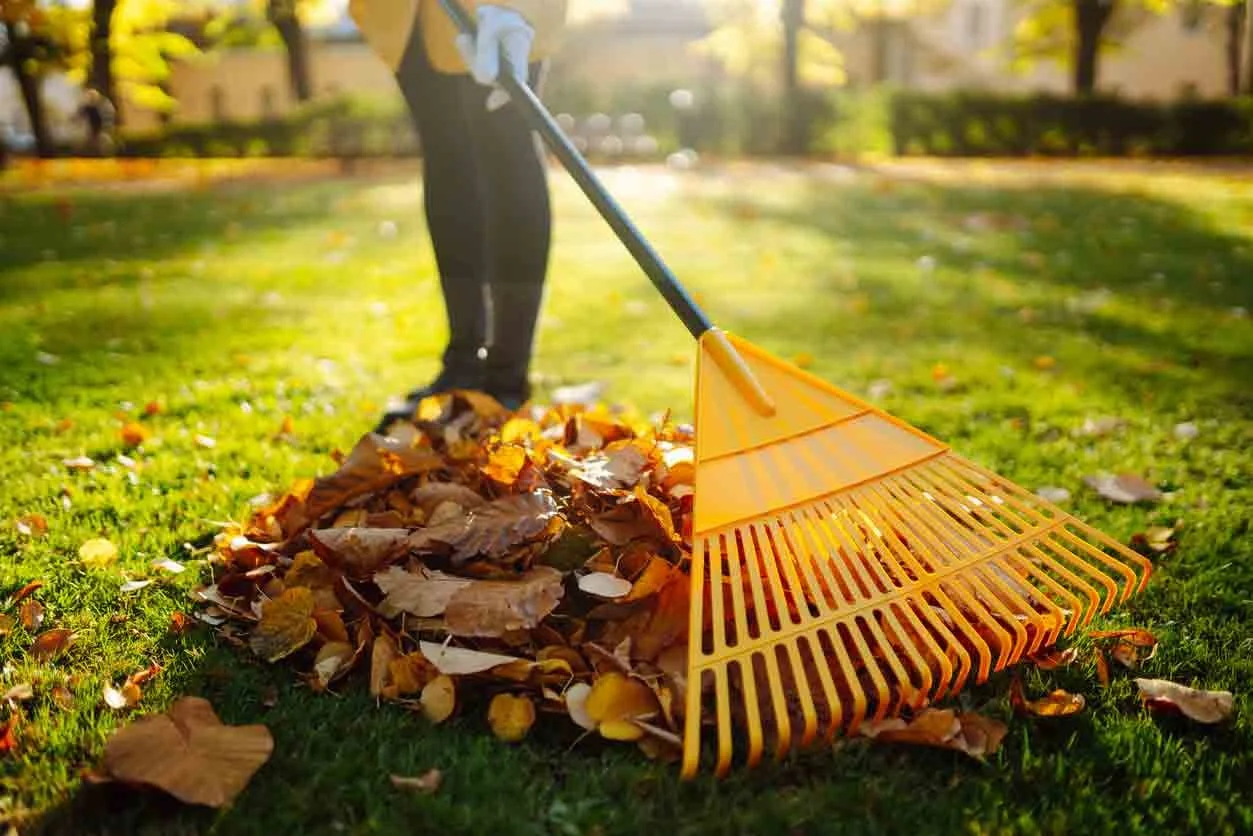 iStock-1575889410.jpg