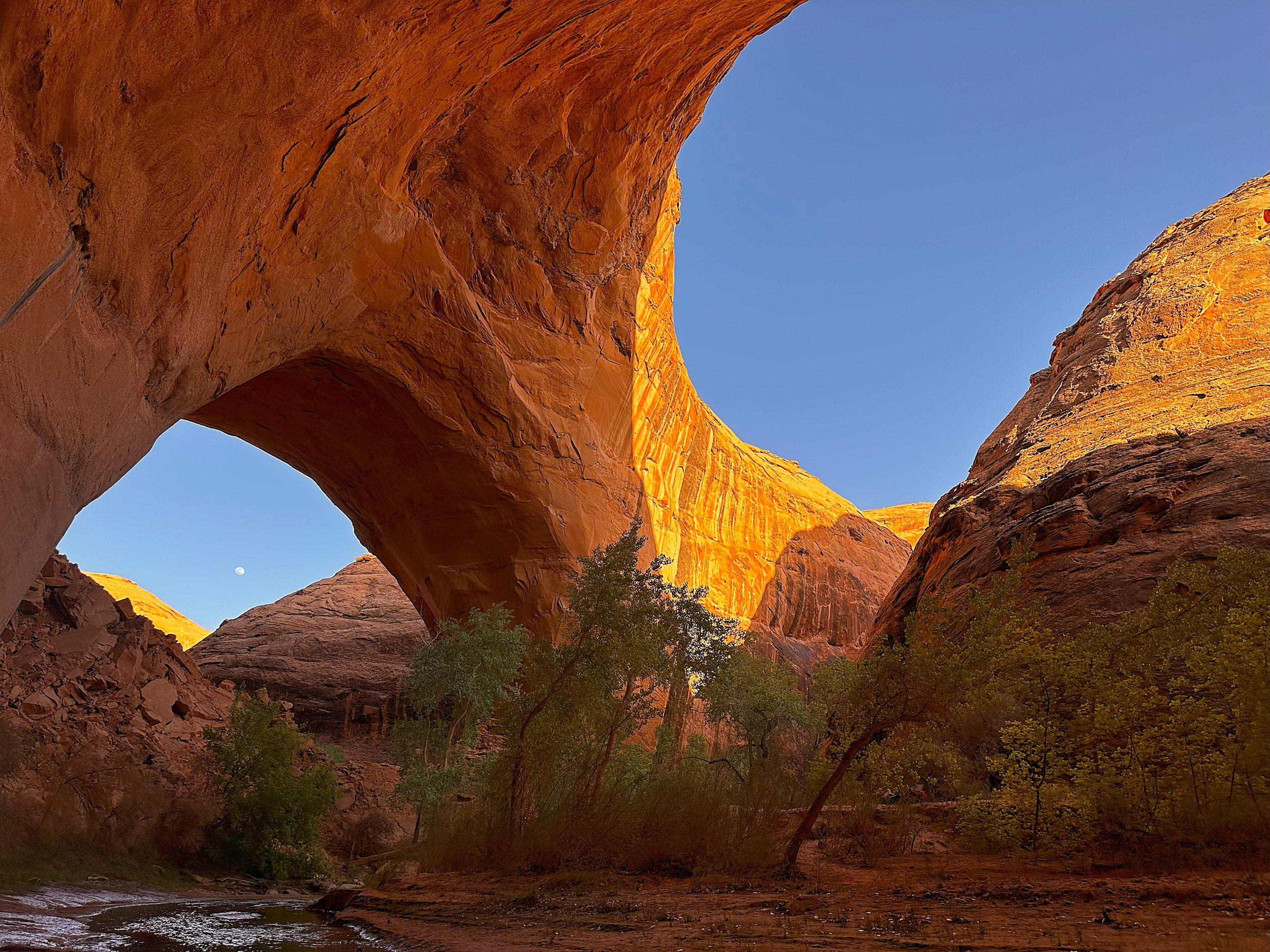 Coyote Gulch - Escalante Utah