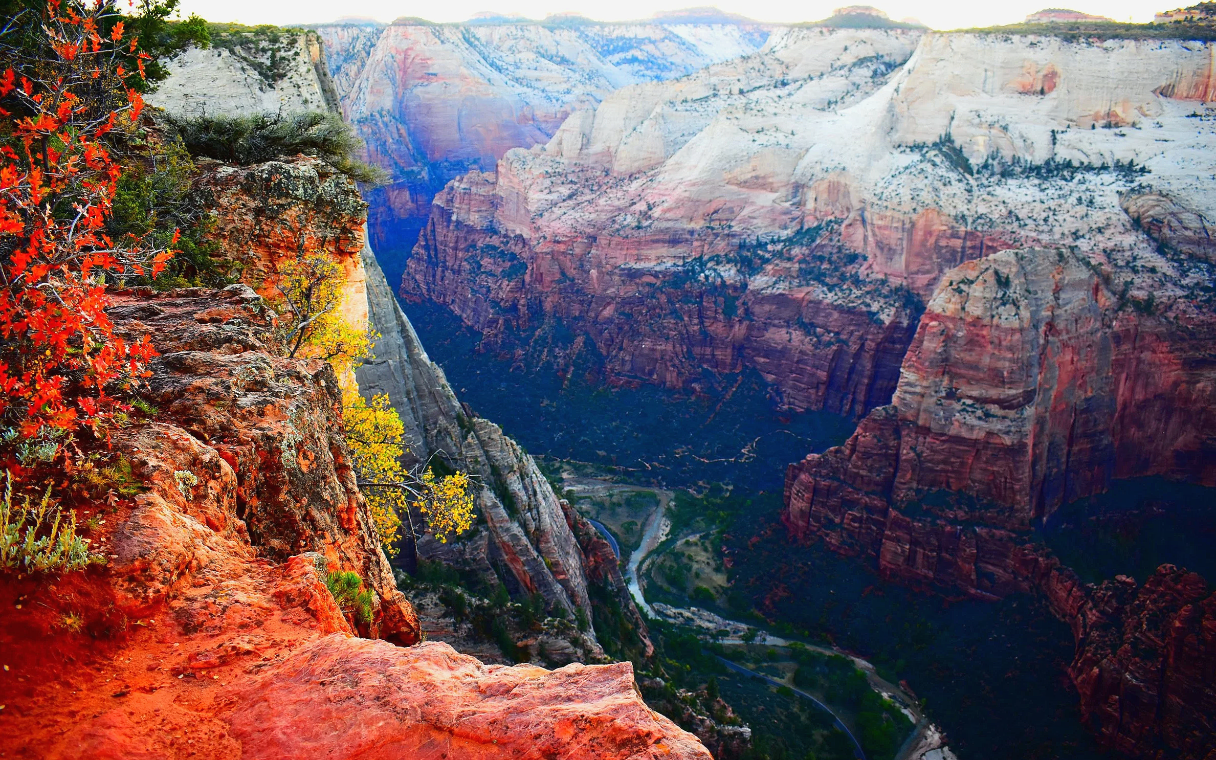 Zion East Rim Overnighter: Two Days of Rim Walking Bliss