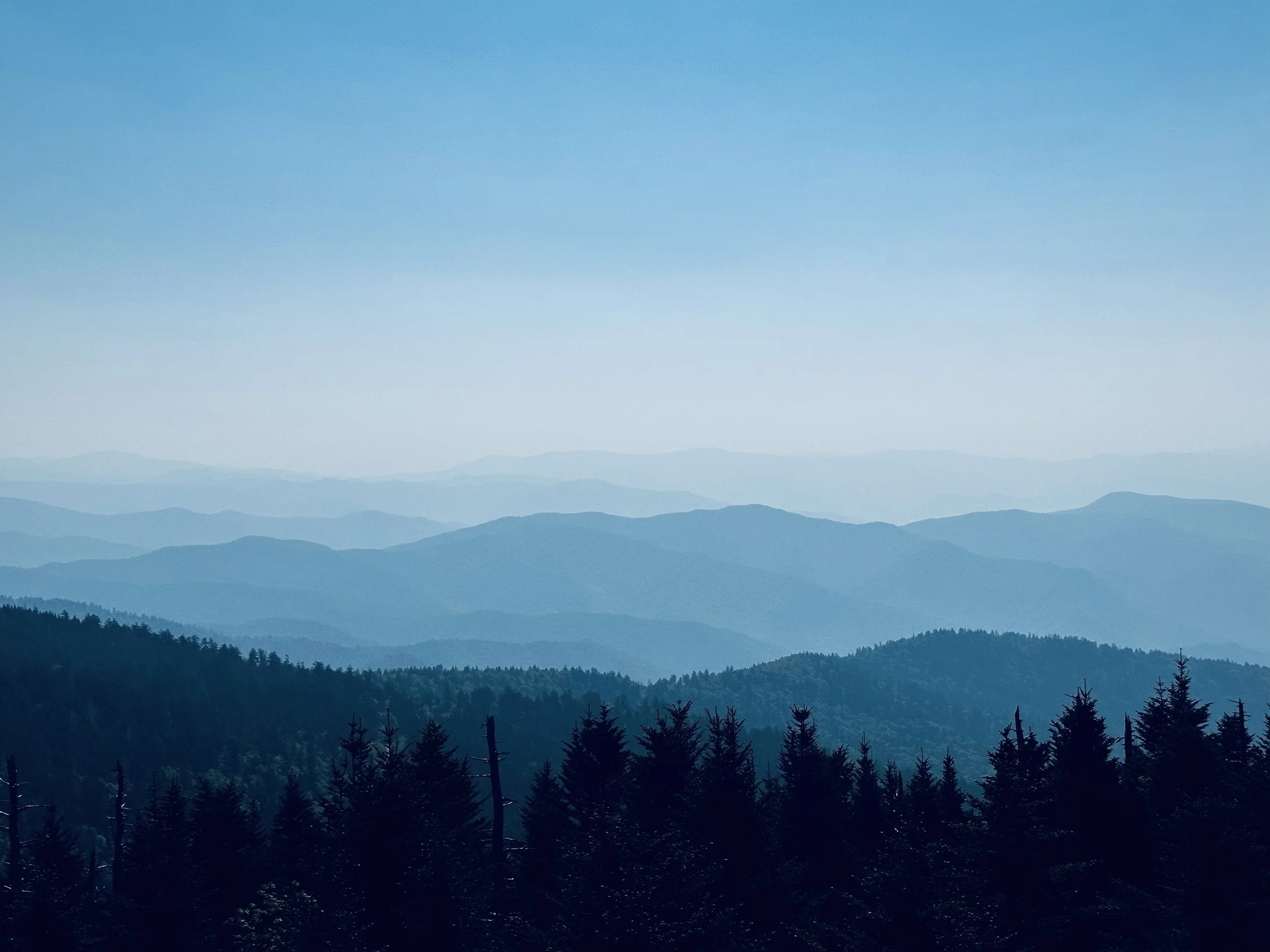 Appalachian trail through the Great Smoky Mountains National park