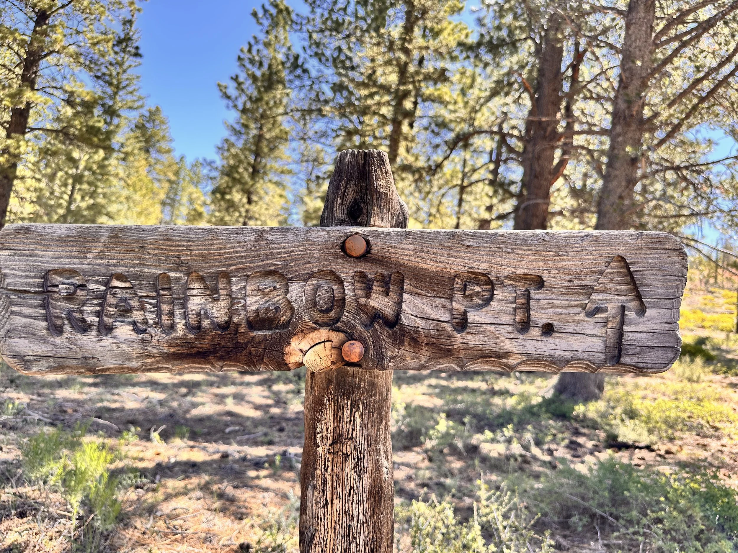 IMG_7026.jpeg