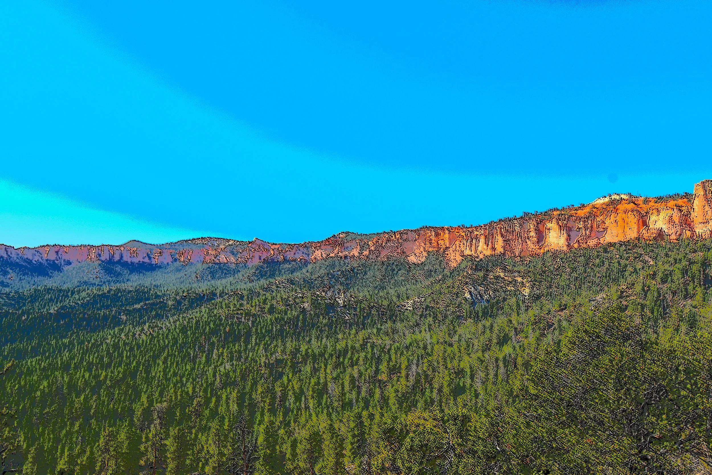 DSC_0504.JPG