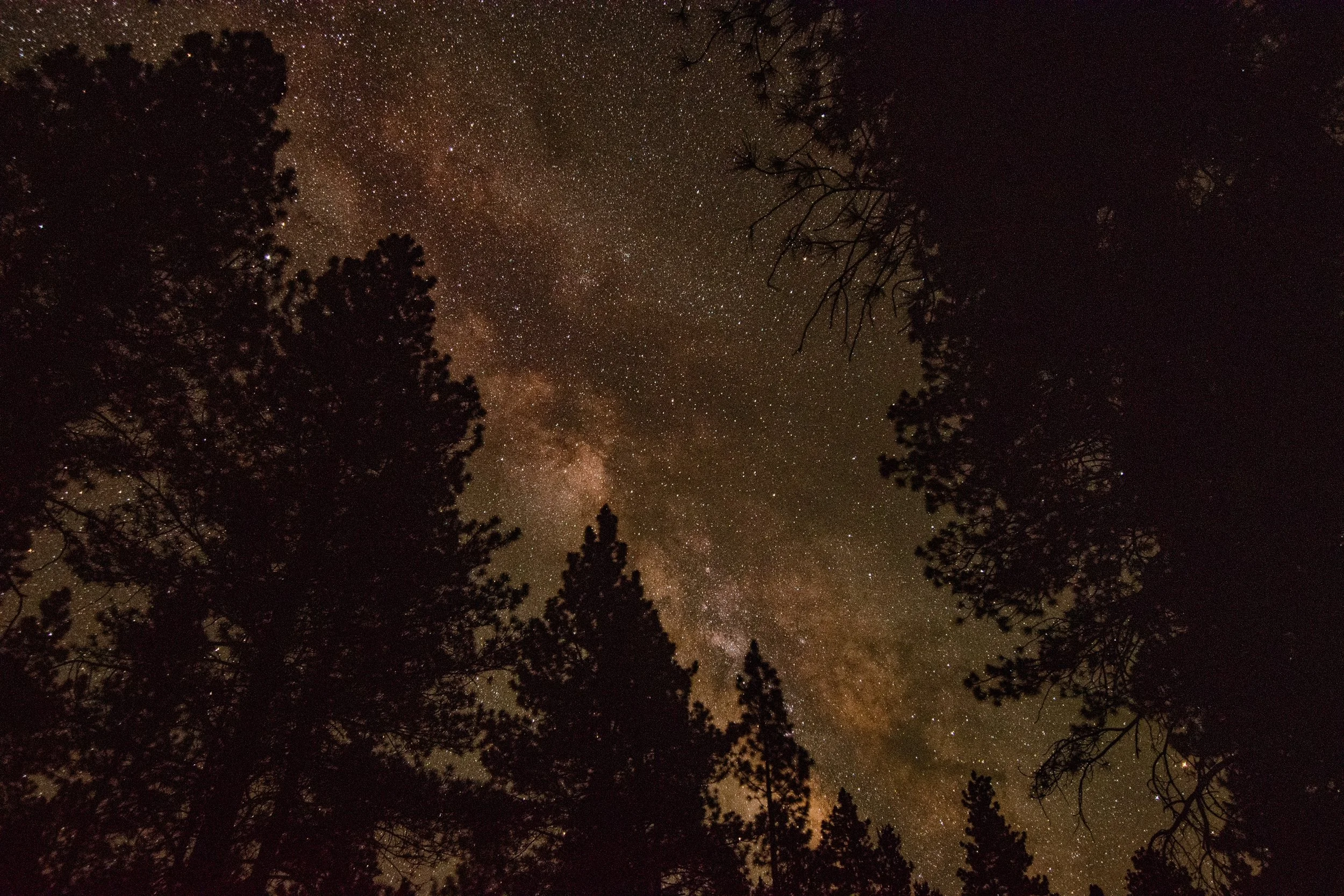 DSC_0474.JPG
