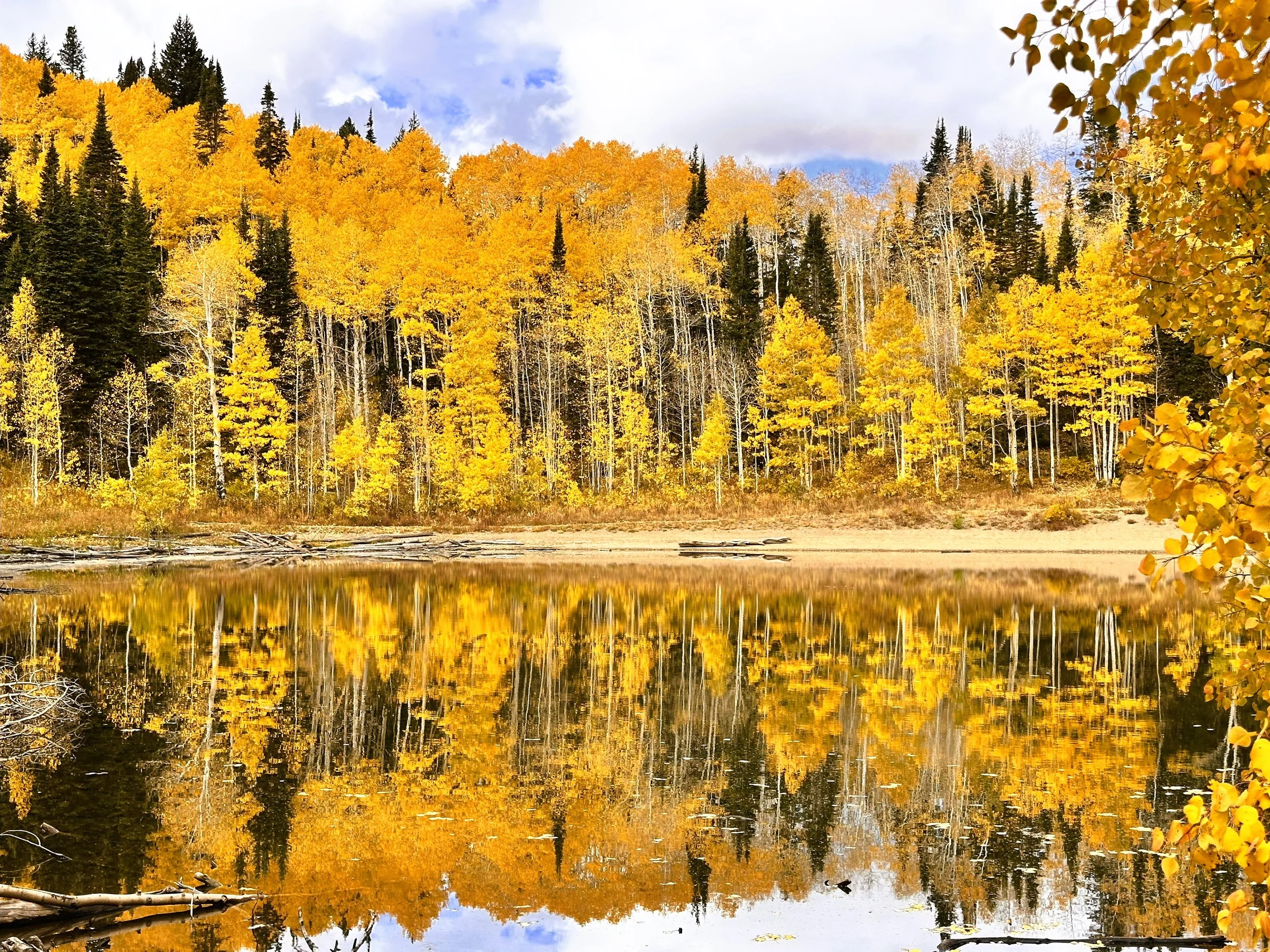 Lake Desolation Backpacking (Big Cottonwood Canyon Fall Guide) — Ty Treks