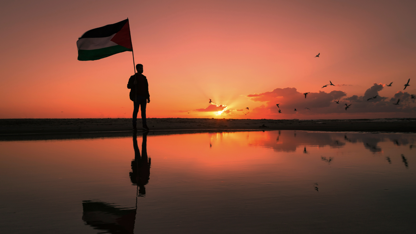 The People of Palestine Will Win!