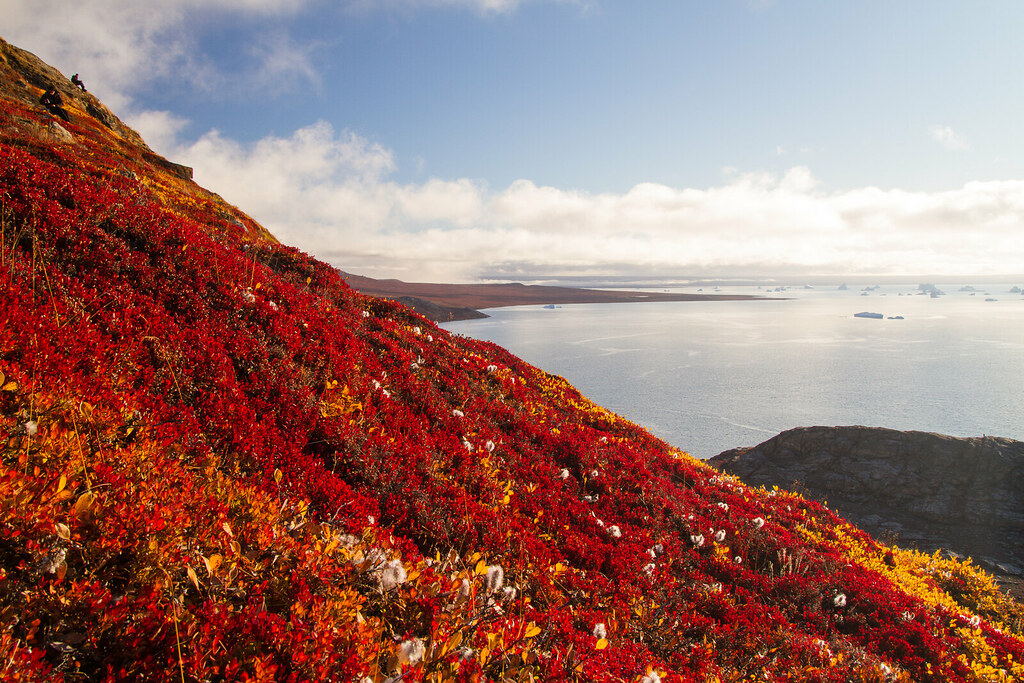 The Arctic Circle: The Issue of Greenland in Context