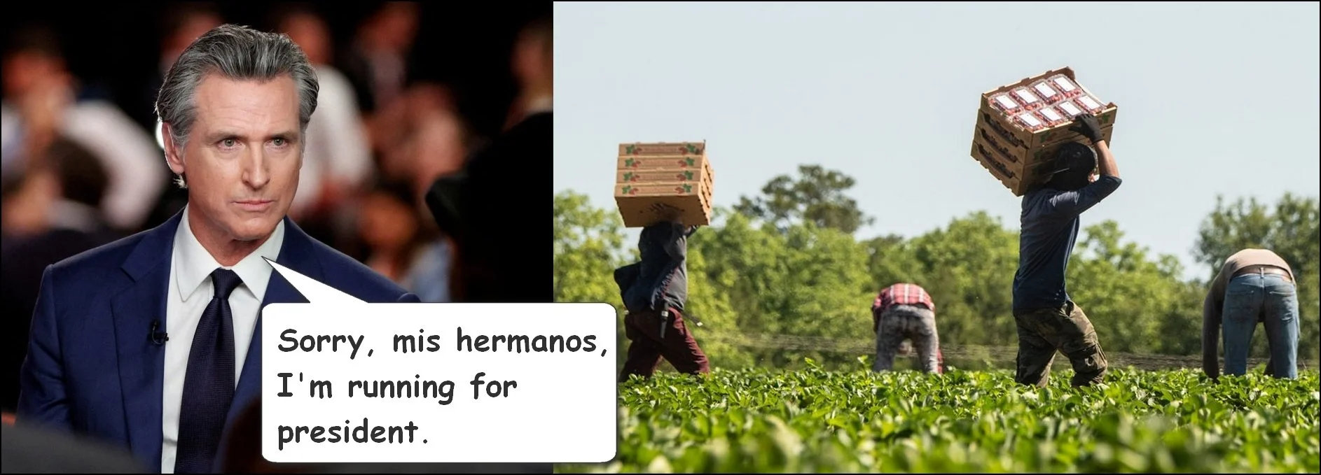 A Pile of Bitter Ironies: Candidate Newsom and Medicaid