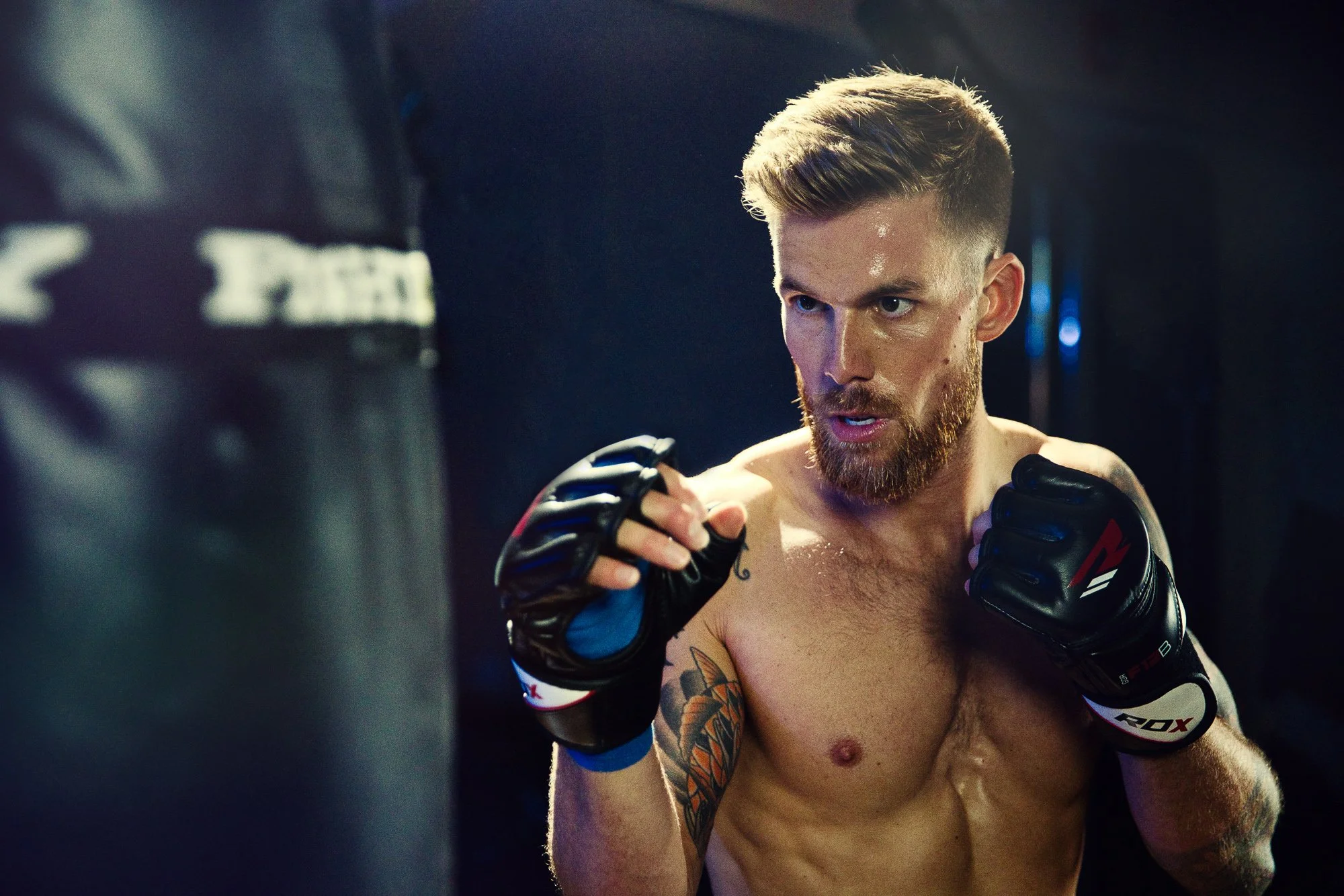 DL_Boxing_0005.JPG