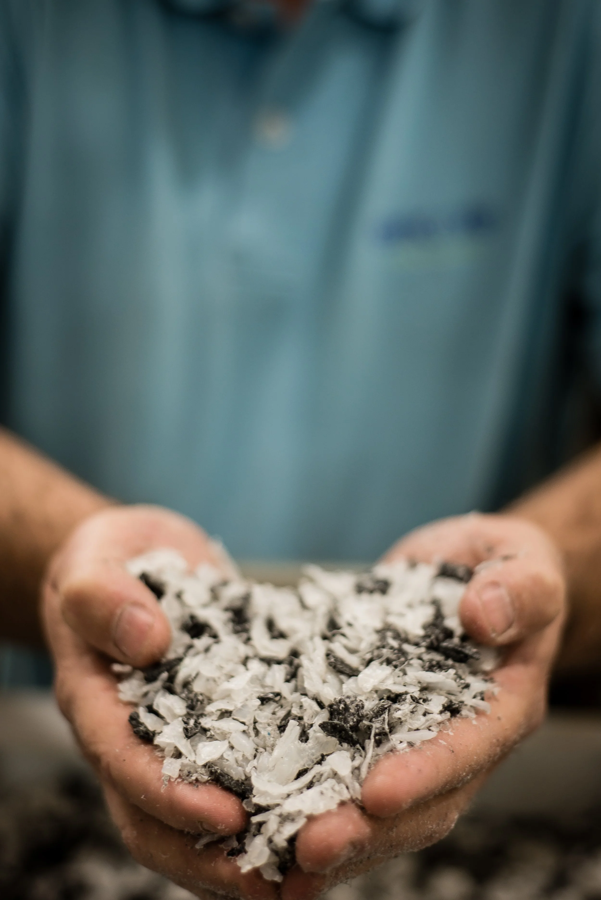 Hands holding crushed black and white oyster shells.