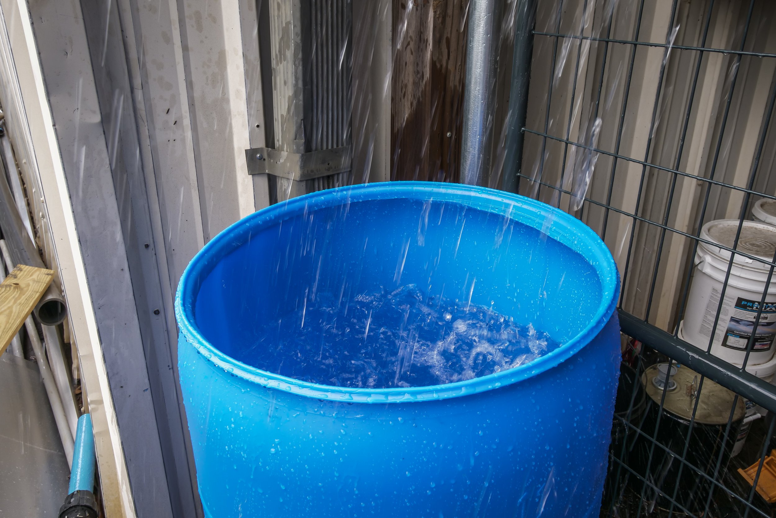 Blue bucket with water and ice inside, located in a storage or workshop area with metal fencing, buckets, and tools around.